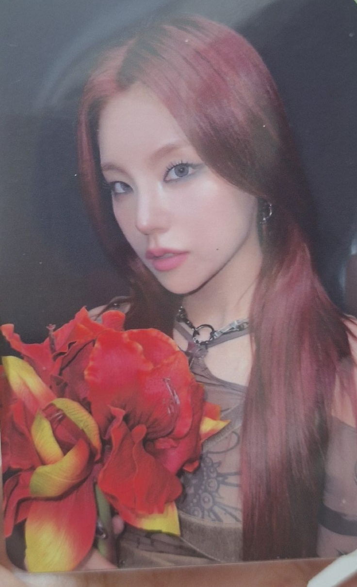 BORN TO BE 專輯卡 Nemo