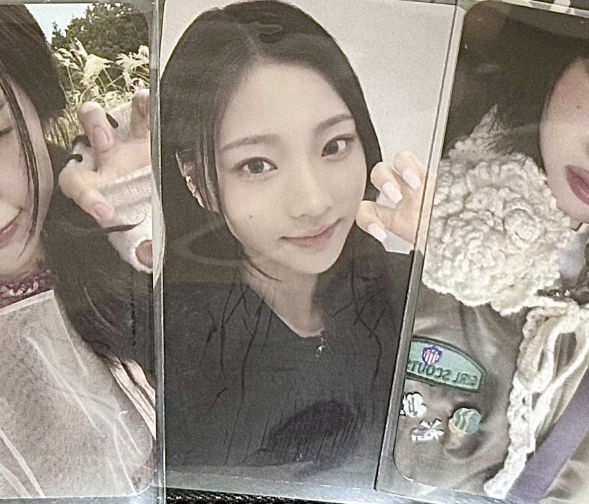 yes24預售 Stella小虎爪