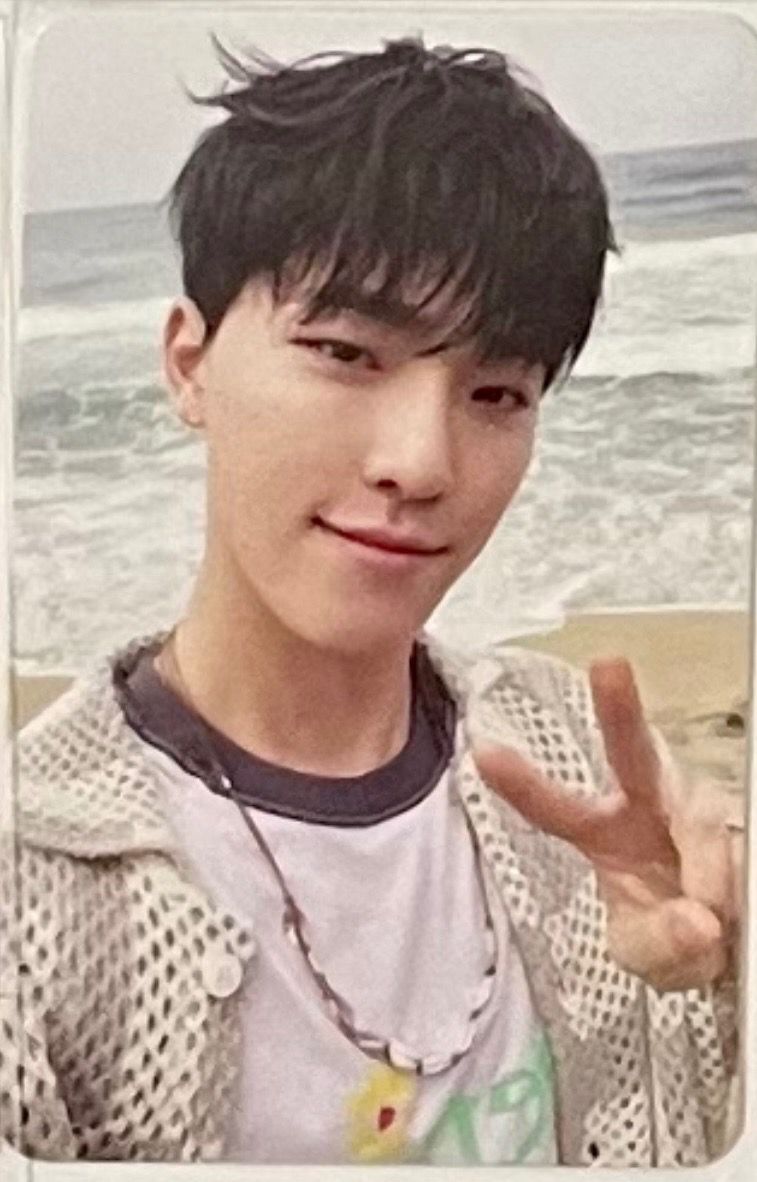 DINO｜韓專卡 ｜Mini7/Mini12/正四/正四續/精選專