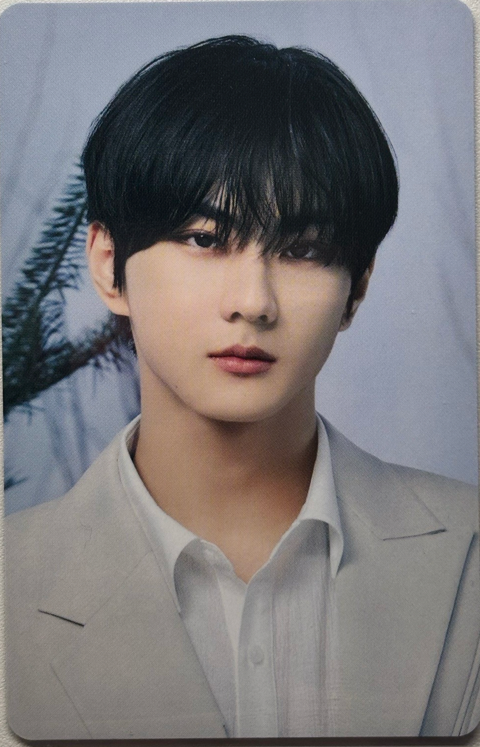 元 WTL日巡卡包隨機卡