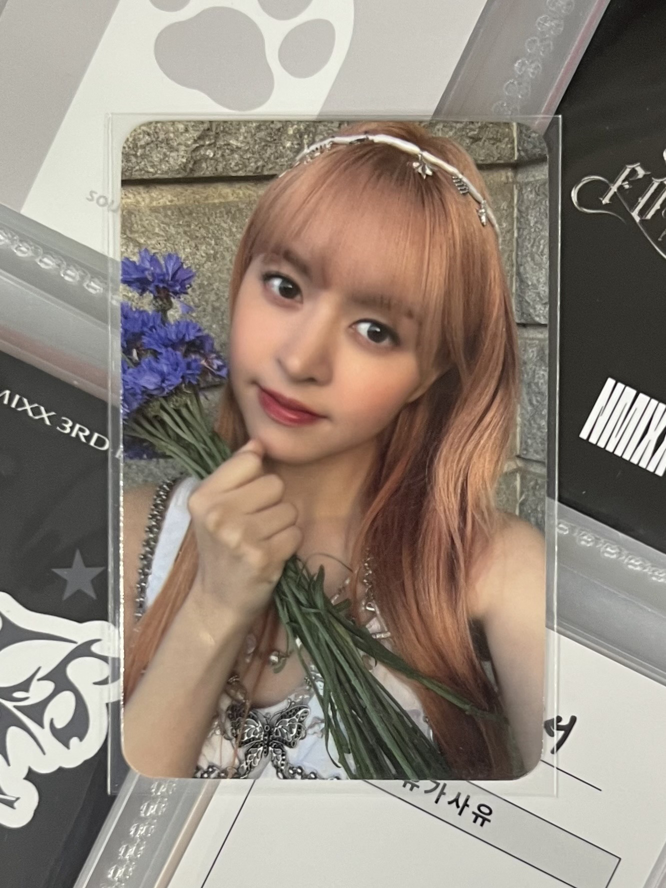 💫 NMIXX 拿花莉