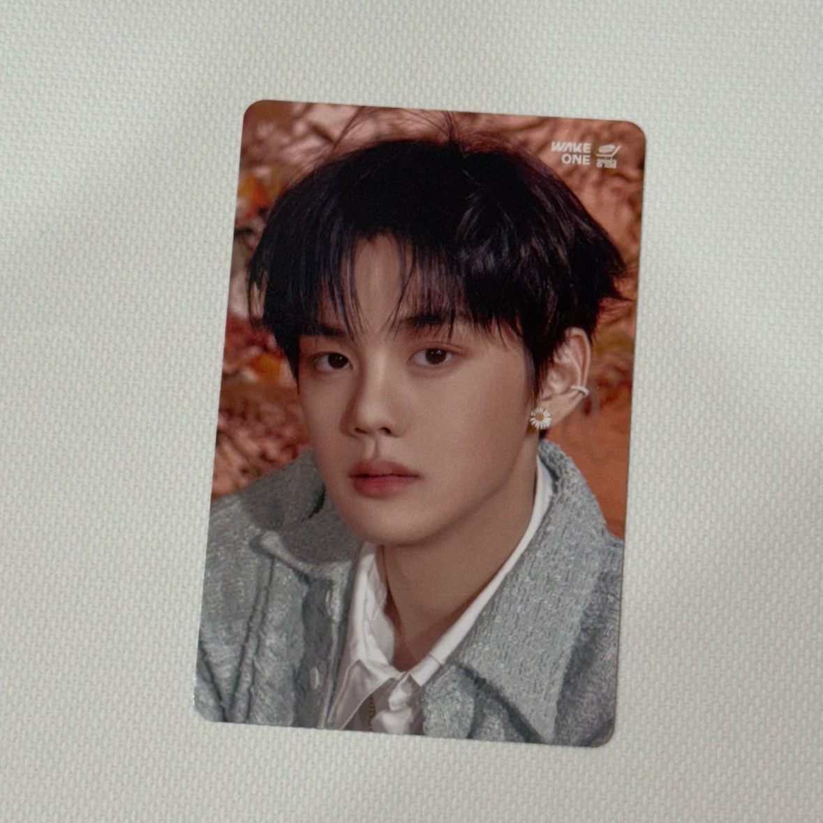 ZB1 奎彬｜日專 塔店 特典卡 官拍 yurayura