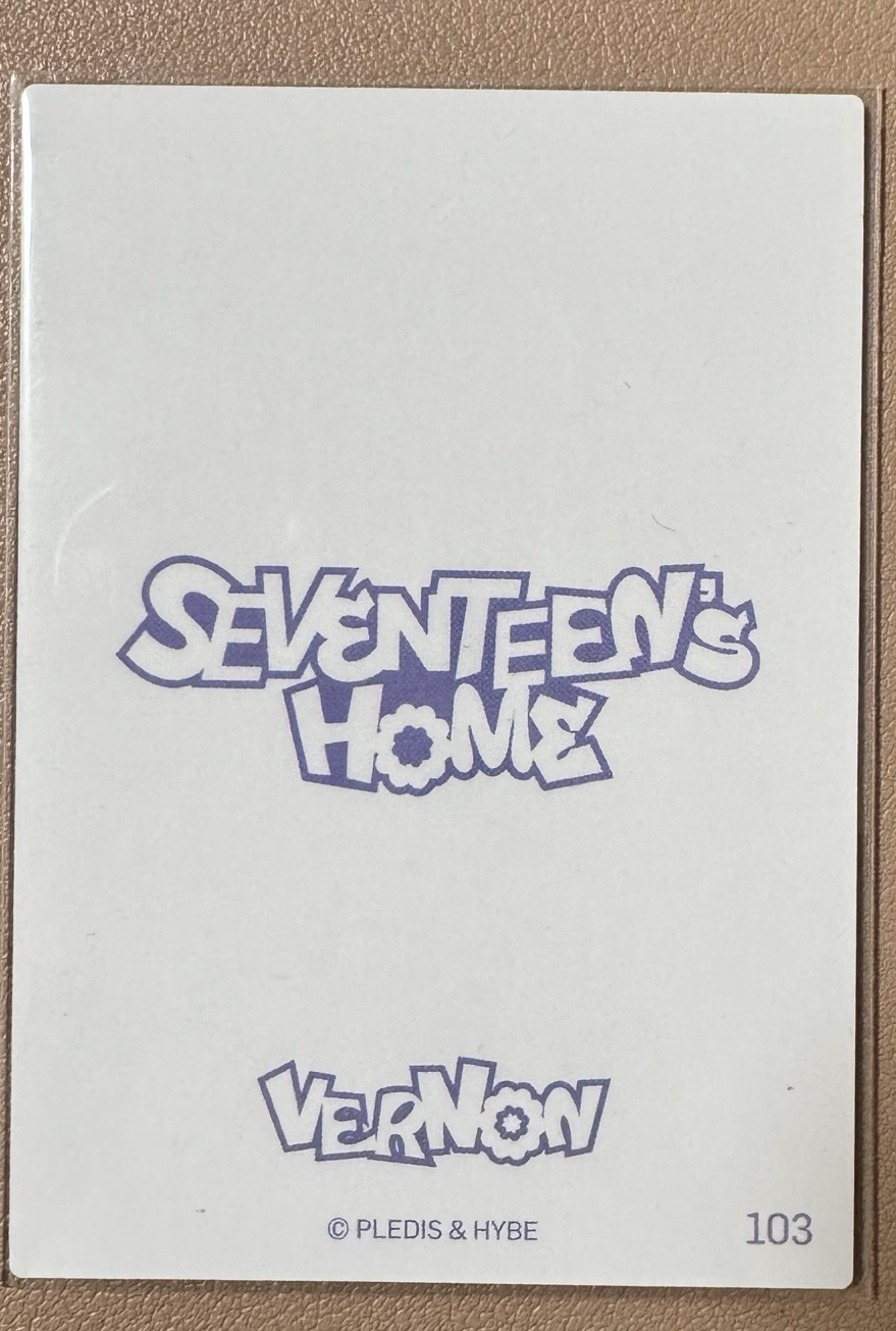 24‘Home卡包 Vernon