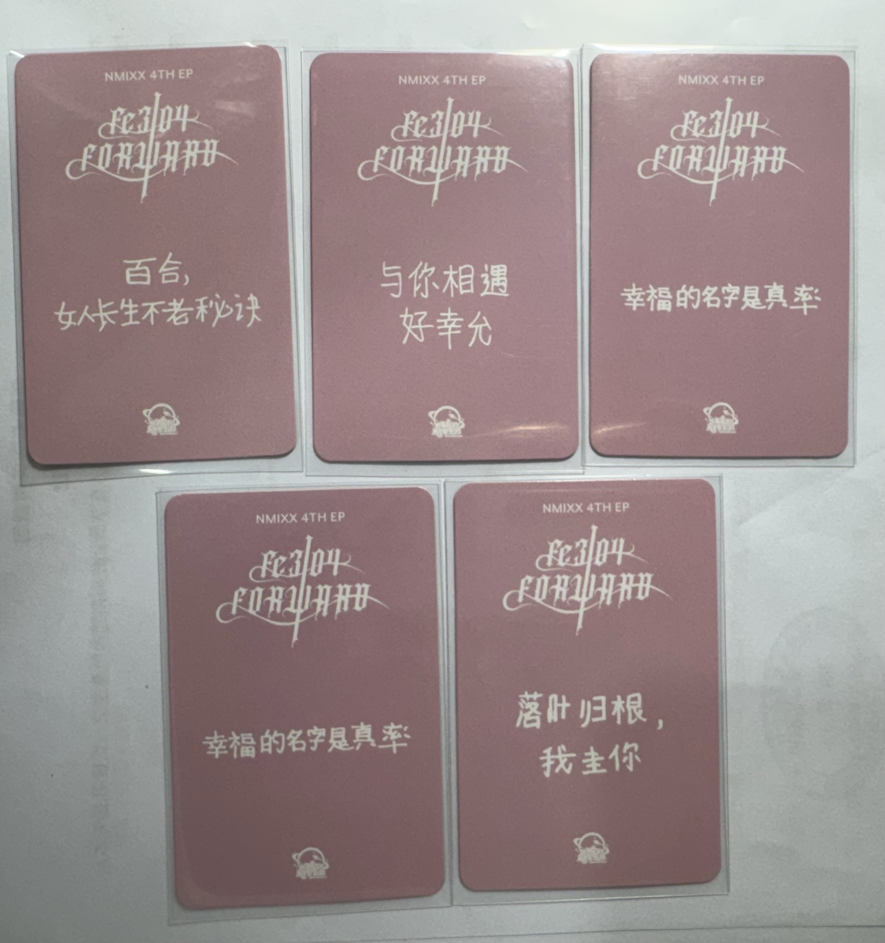 NMIXX 星河 動物朋友