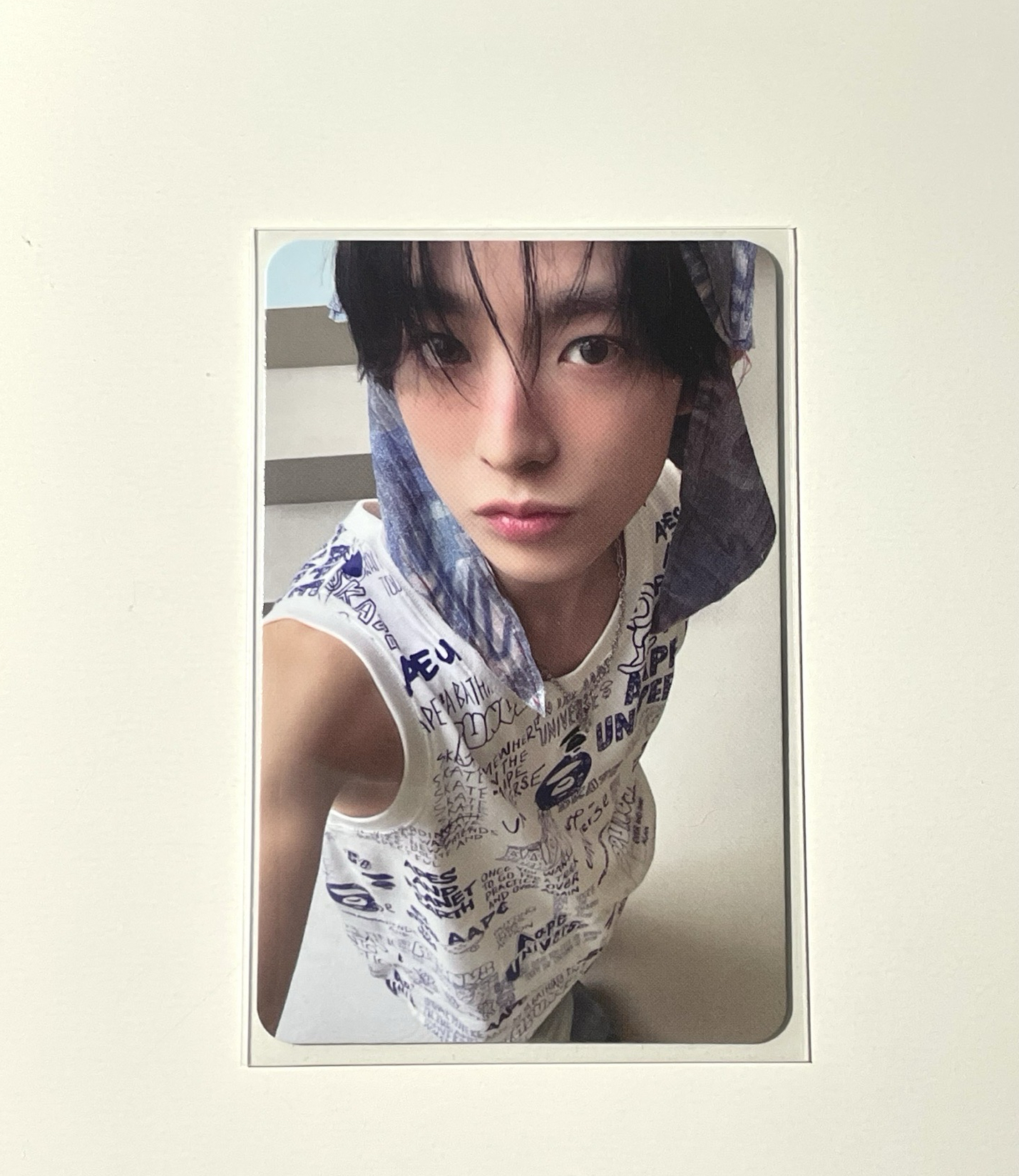 得能貓貓的美顏🐱