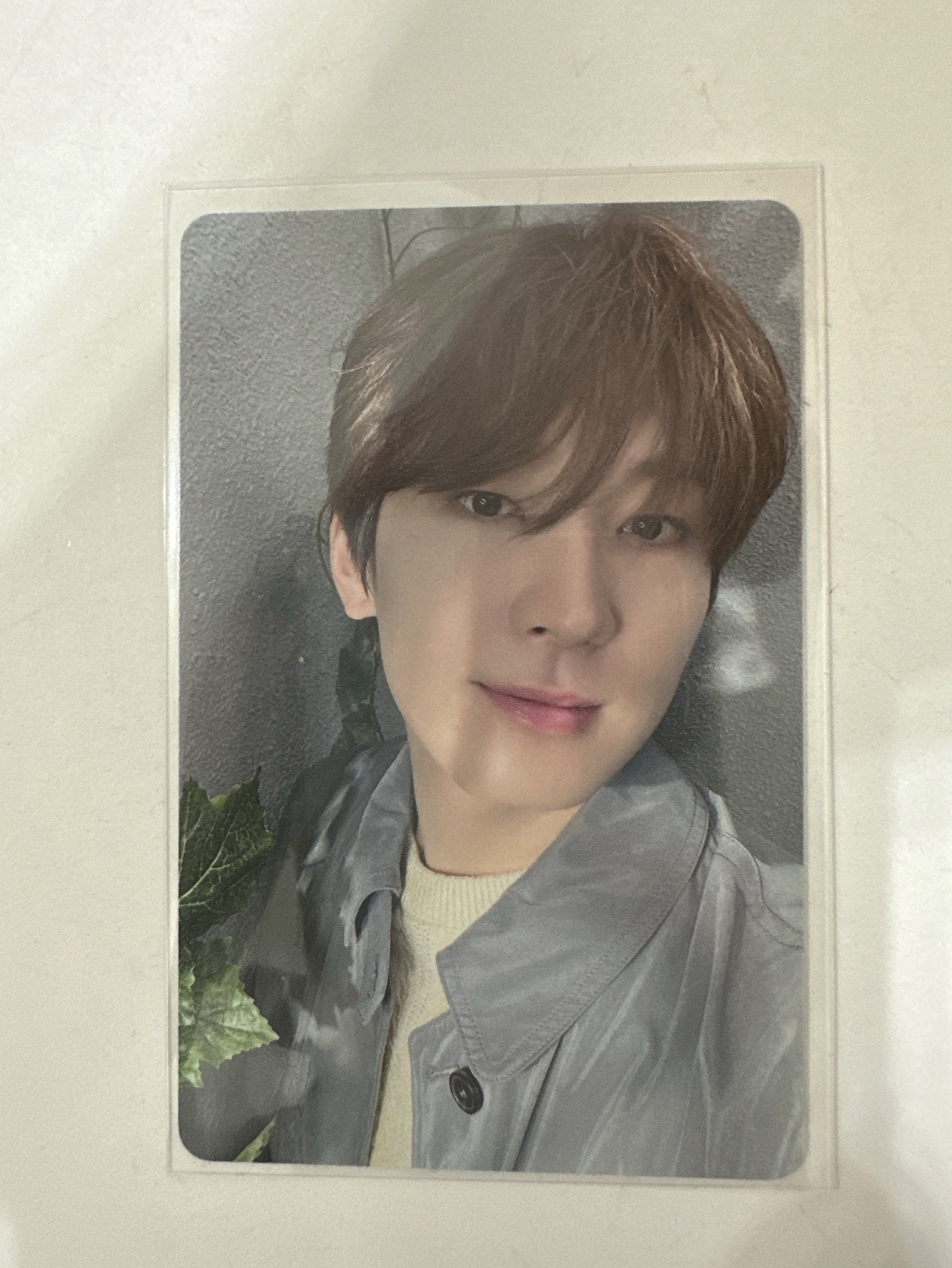 消費期限 塔店圓