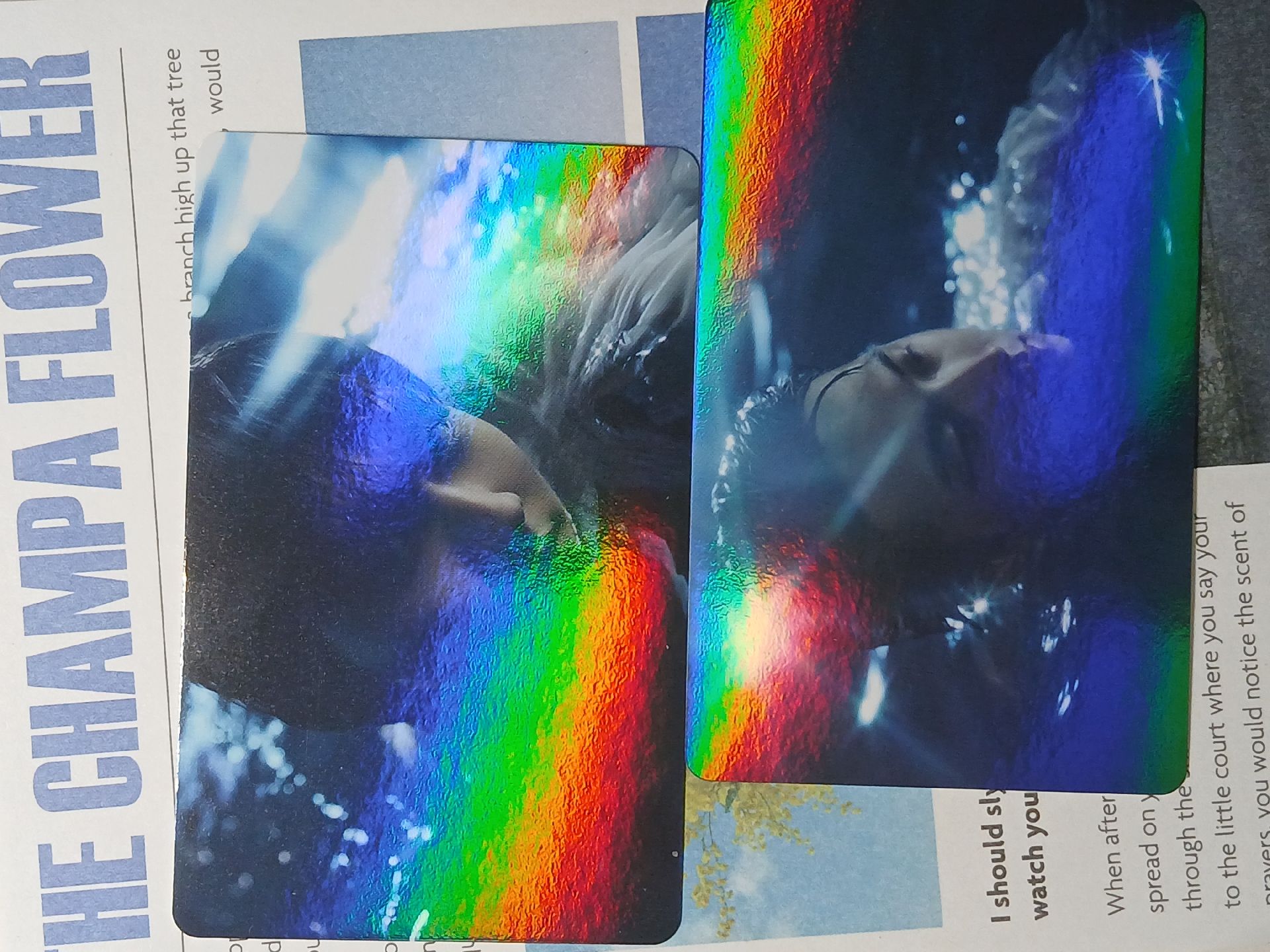 enhypen-綜星／禎元 wvs迷四預售特典