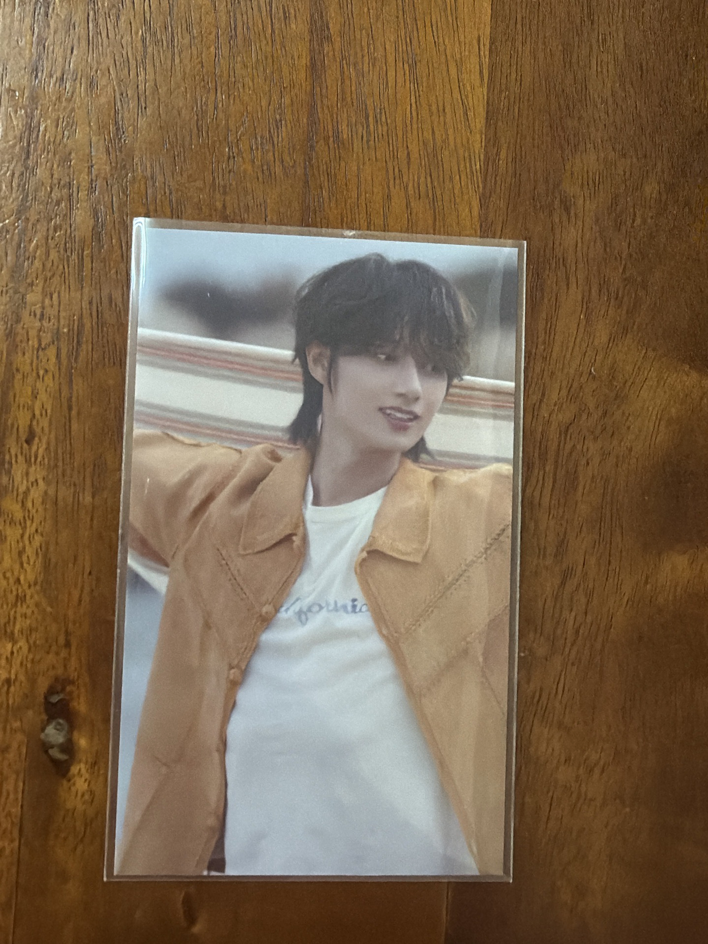 SEVENTEEN 日專 愛知場限 俊