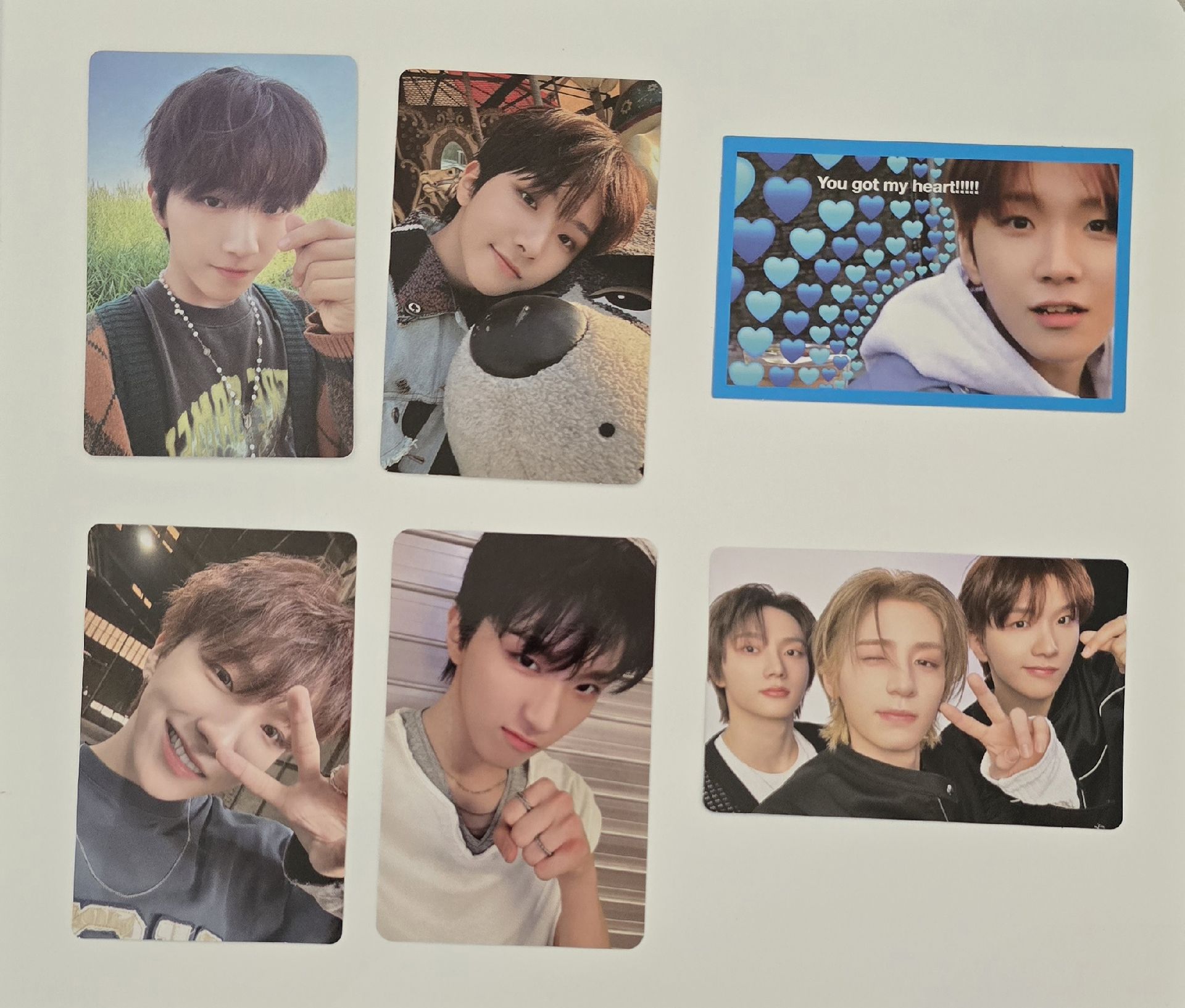 金雲鶴 WOONHAK 小盤