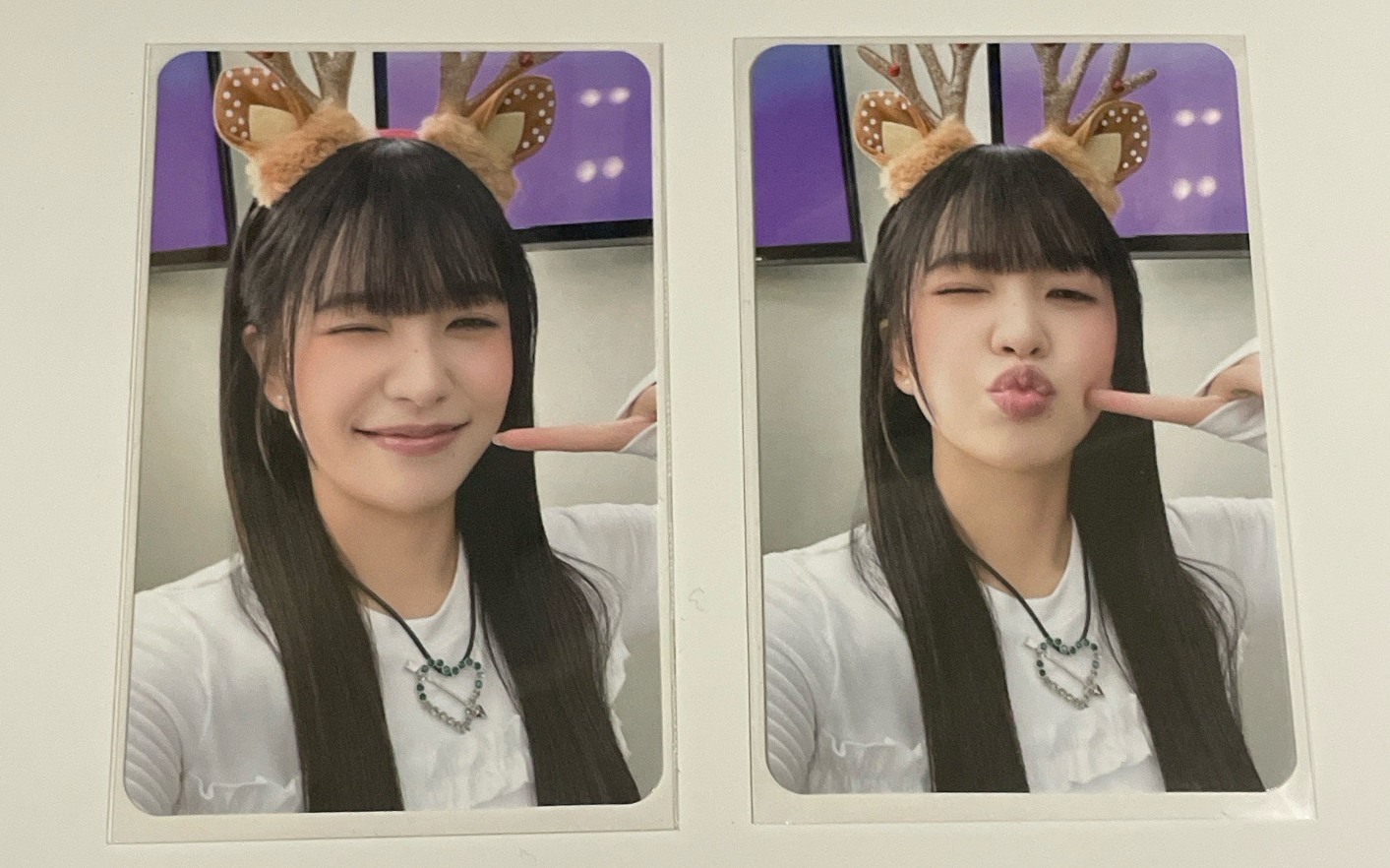 23年聖誕隨機卡 椰（左邊）