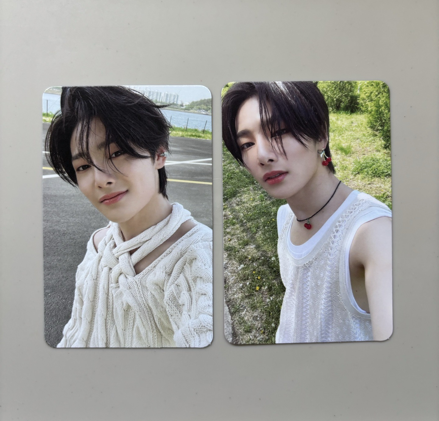 🍞MAXIDENT 專卡-1（左）