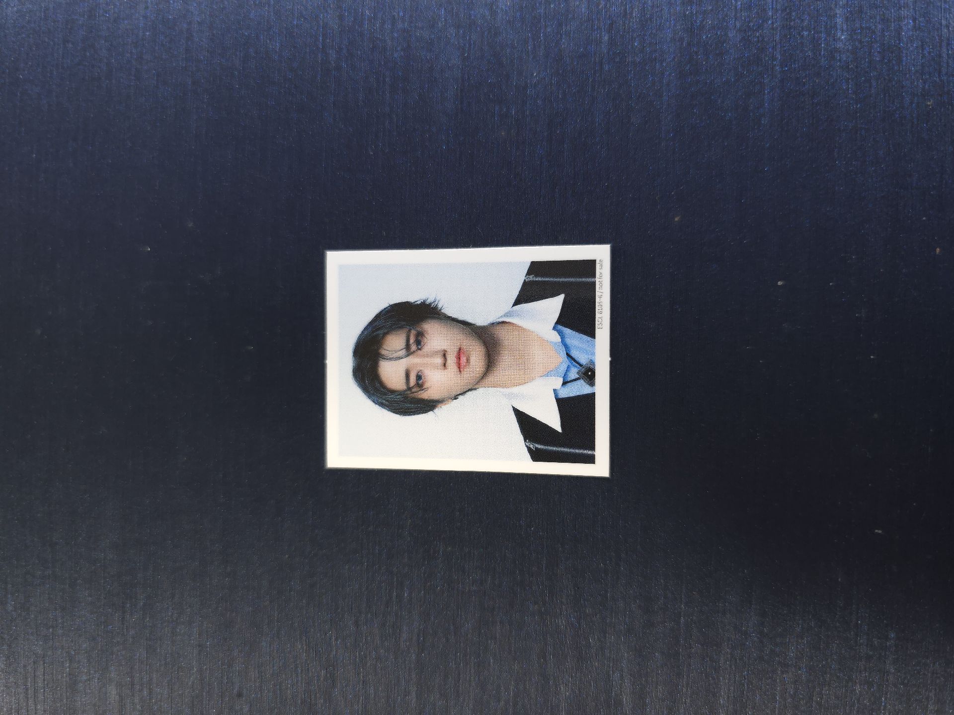 Han Hollow B盤 證件照