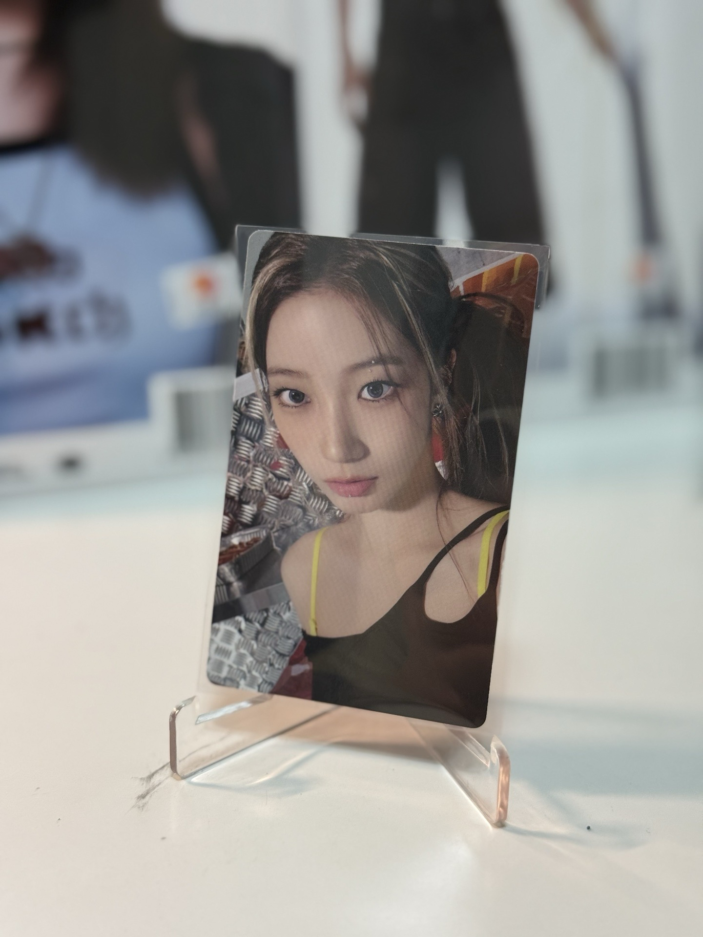 🌟現貨🌟WVS預售葉+同造型磁鐵