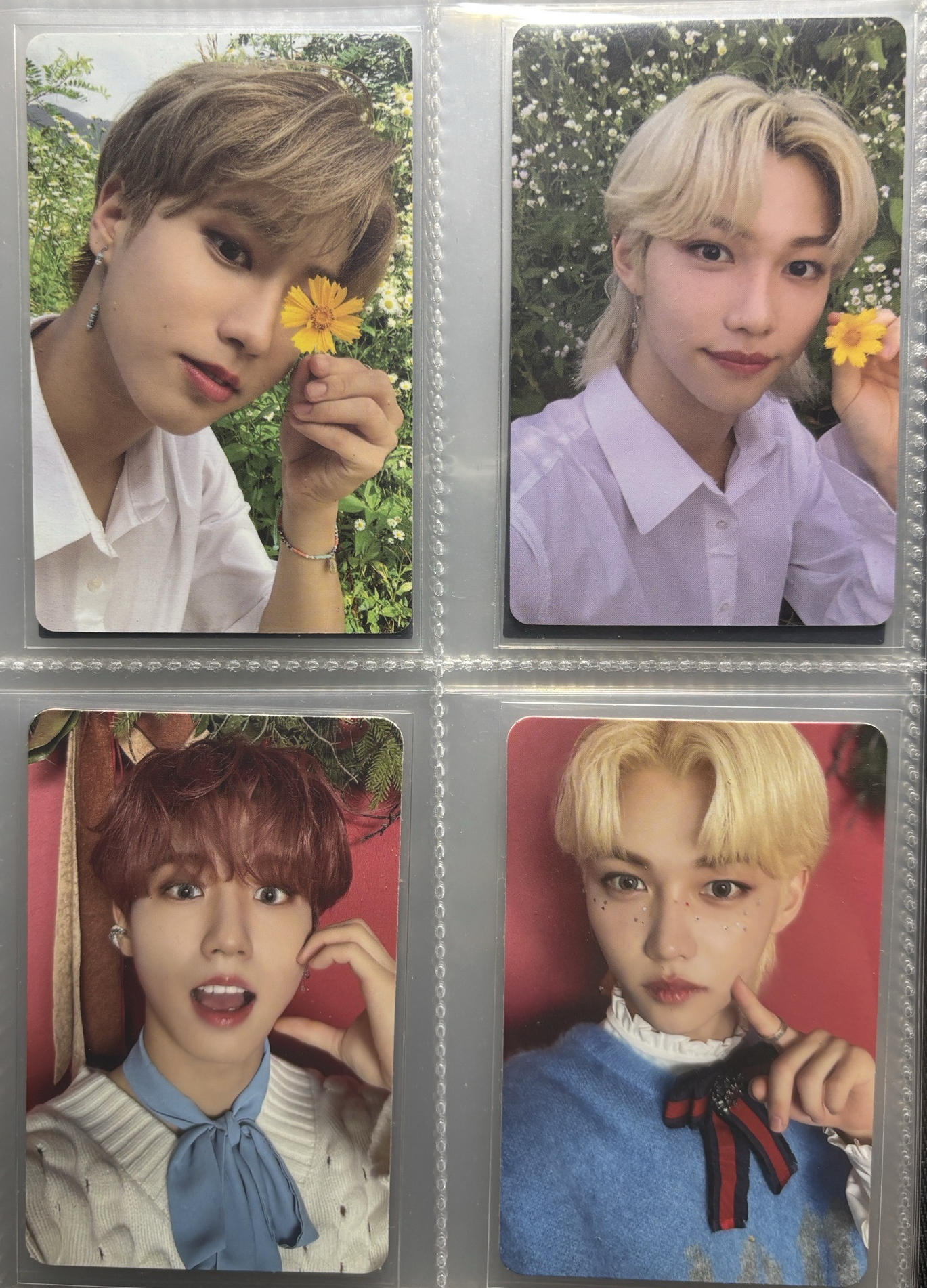 SKZ 城菲花卡+聖誕紅底｜單人不拆