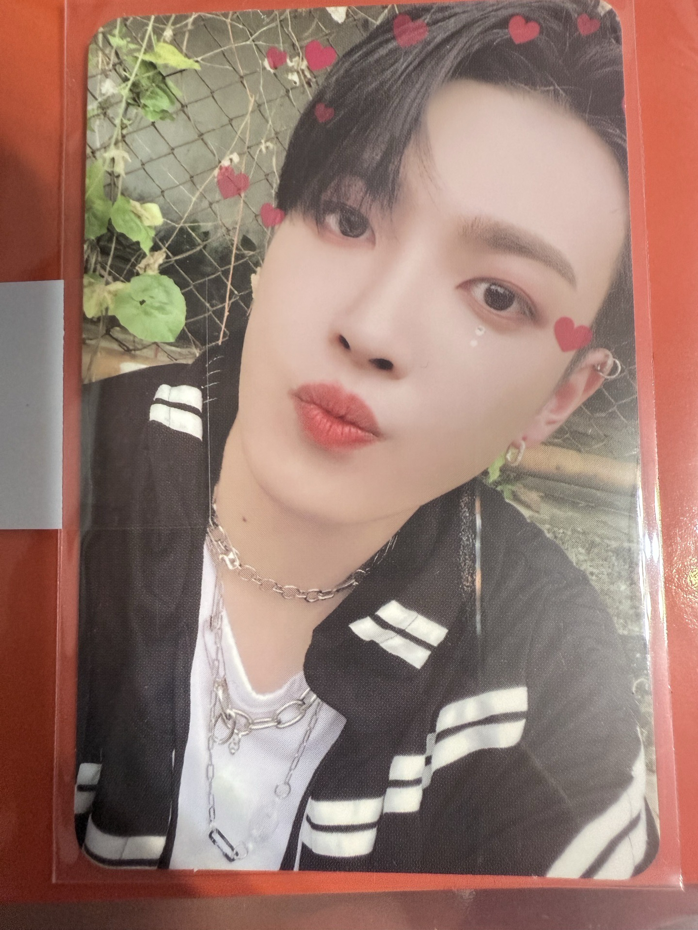 Halazia 線下 簽售卡 