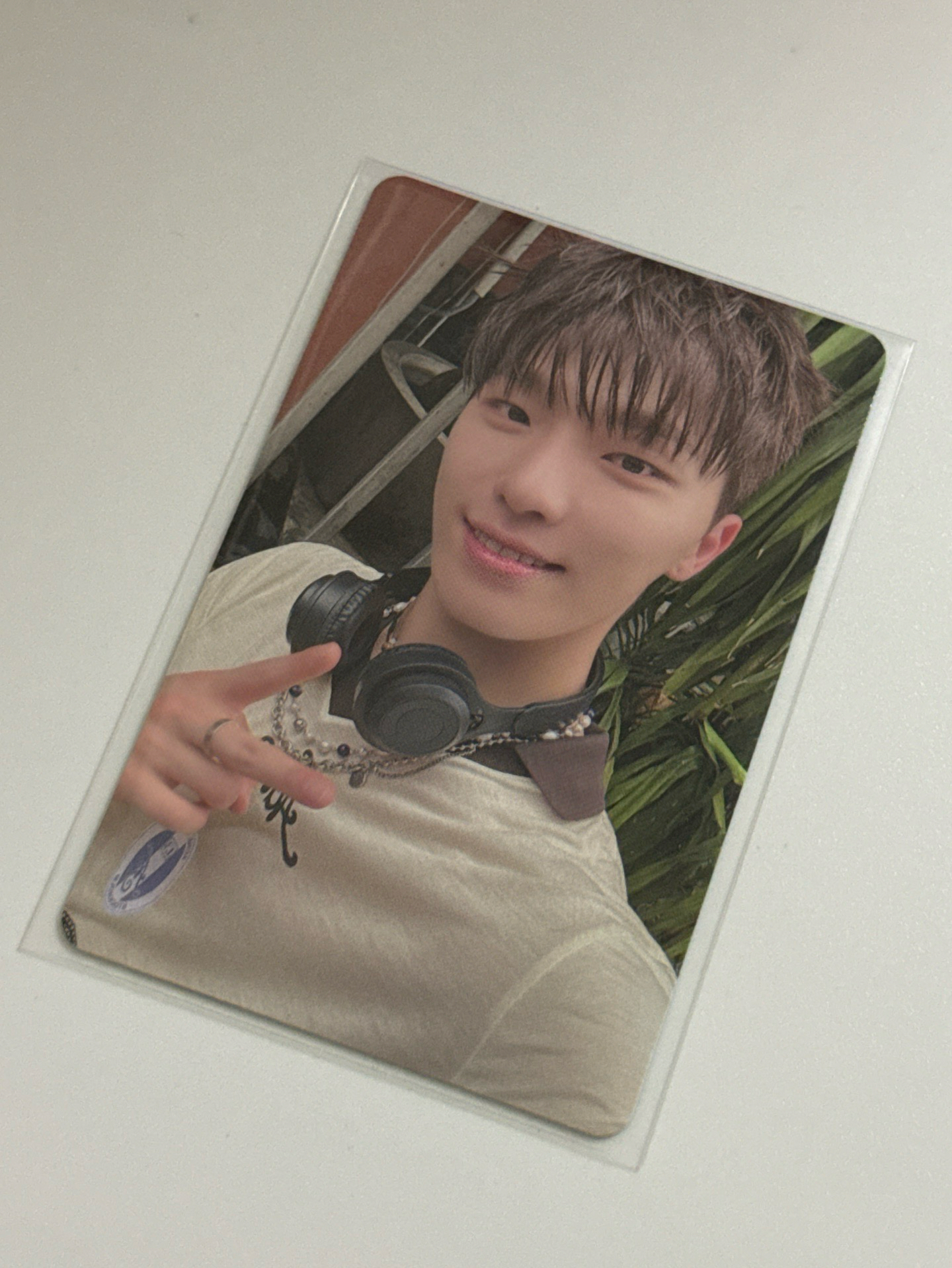 SVT 燦 迷12 場限