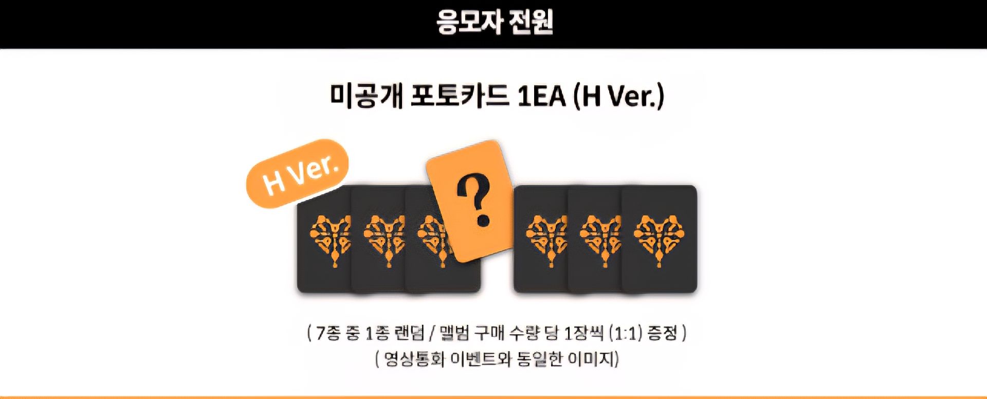 MMT線上＆線下1.0