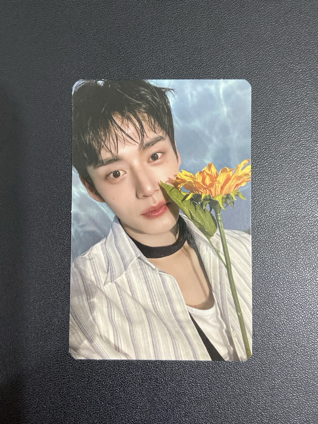 迷三｜立牌卡雄