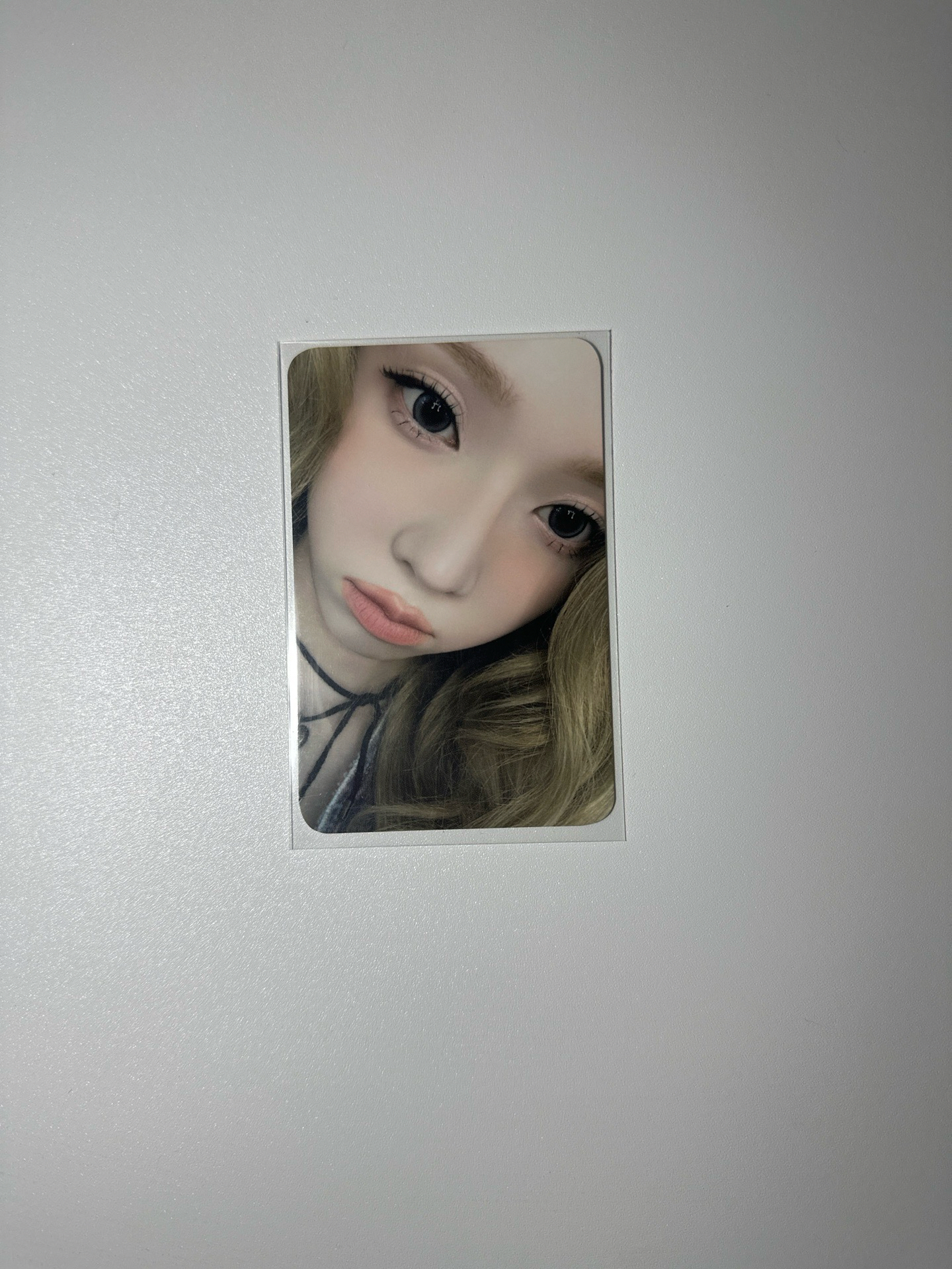 （有損）立牌冬