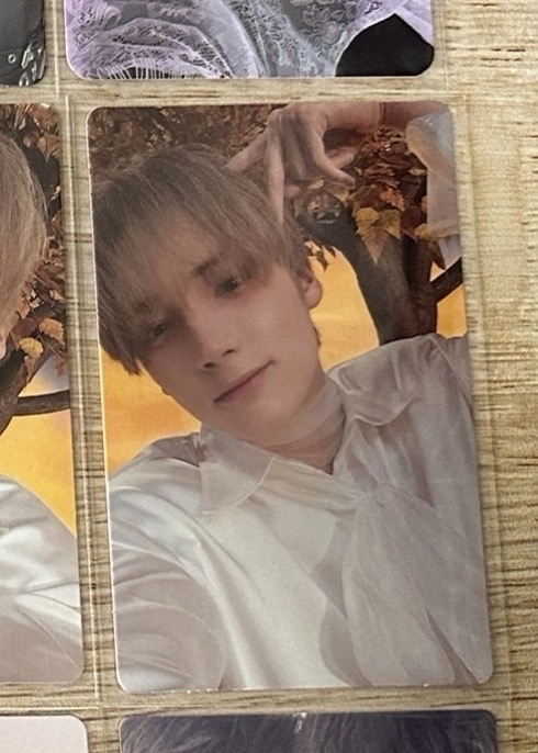 迷六 wvs 貓耳寧