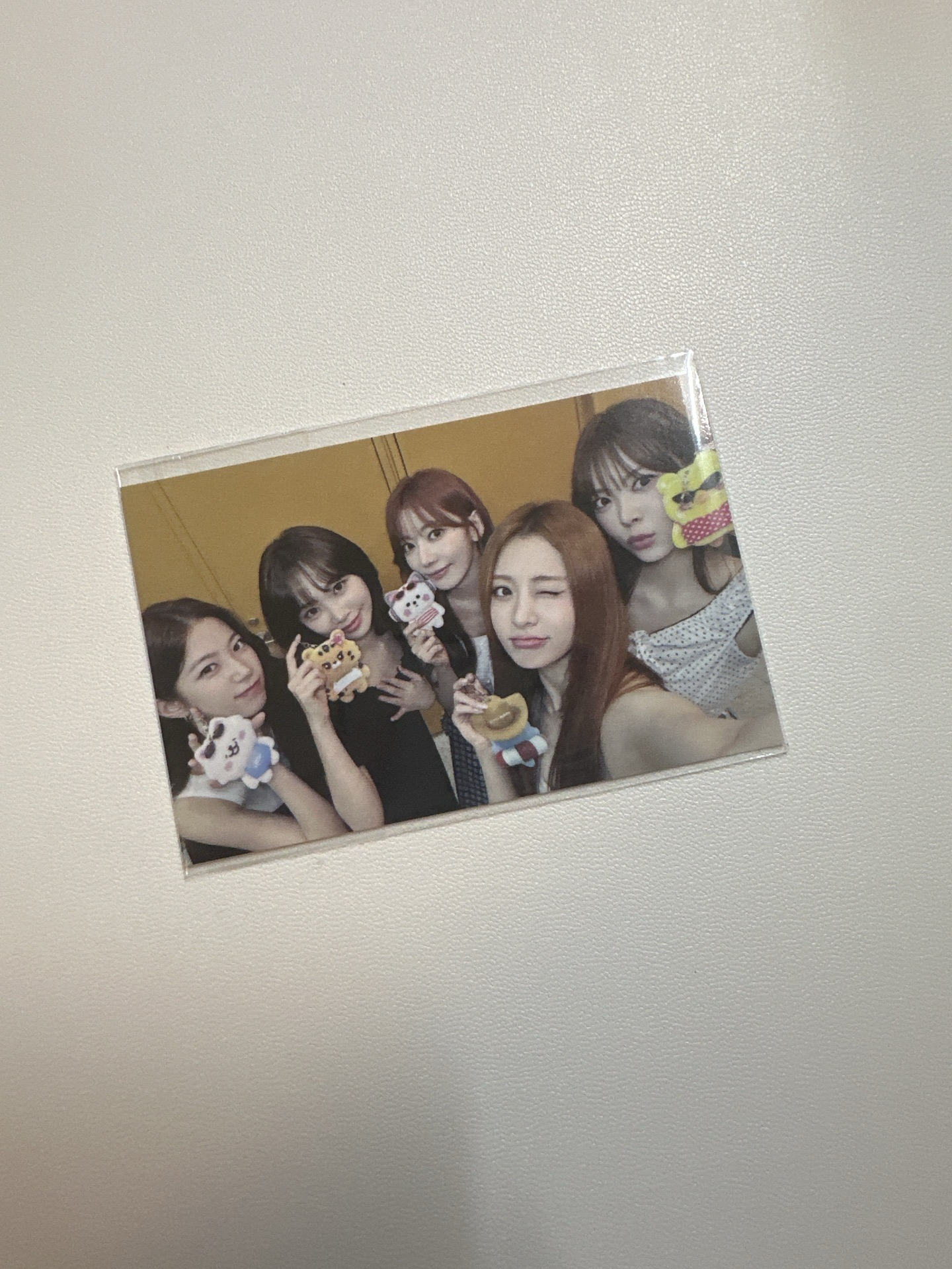 LE SSERAFIM FIM’S CLUB滿額卡 團卡