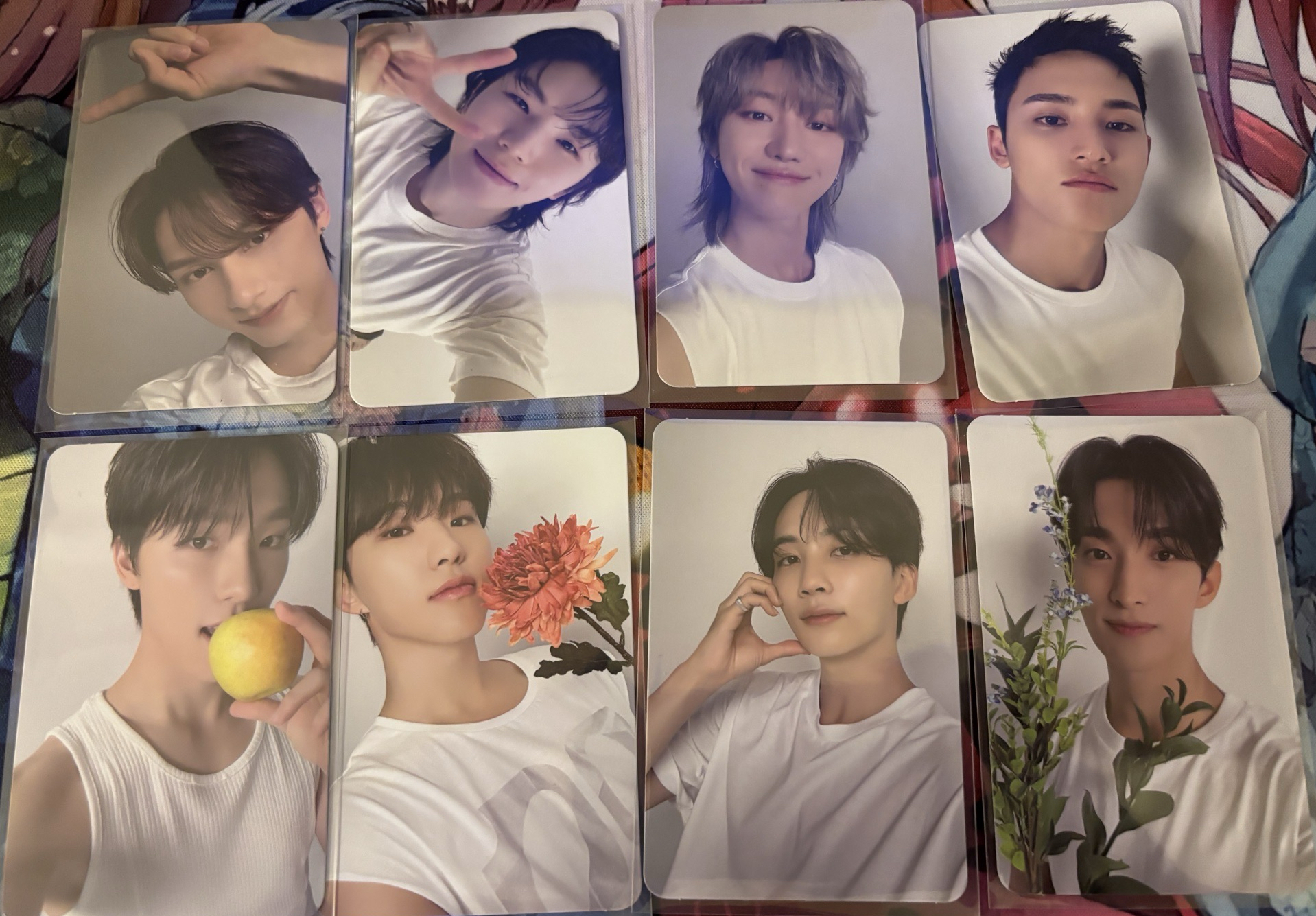 十七 精選專克拉盤專卡