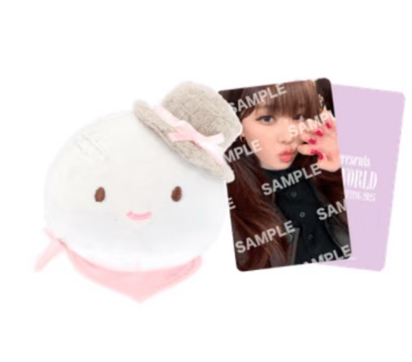 fm冬髮夾組未拆（含卡）