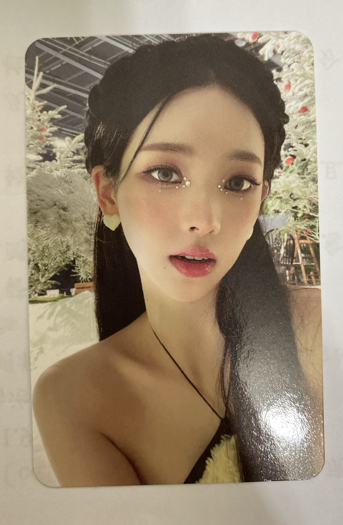 SM冬專 專輯卡 2022 smcu palace 家族普柚