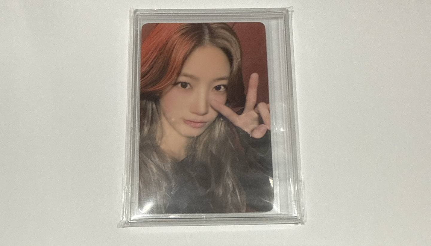 HOT yzy 中文卡背 ㄧ葉