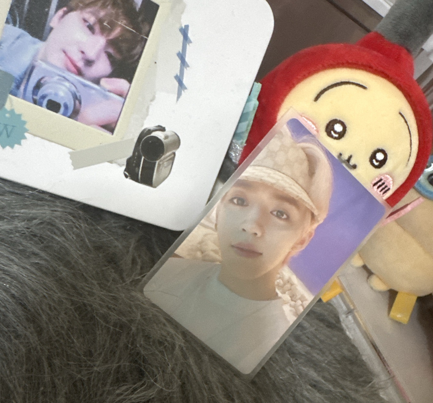 mini7勝哲 兔子哲