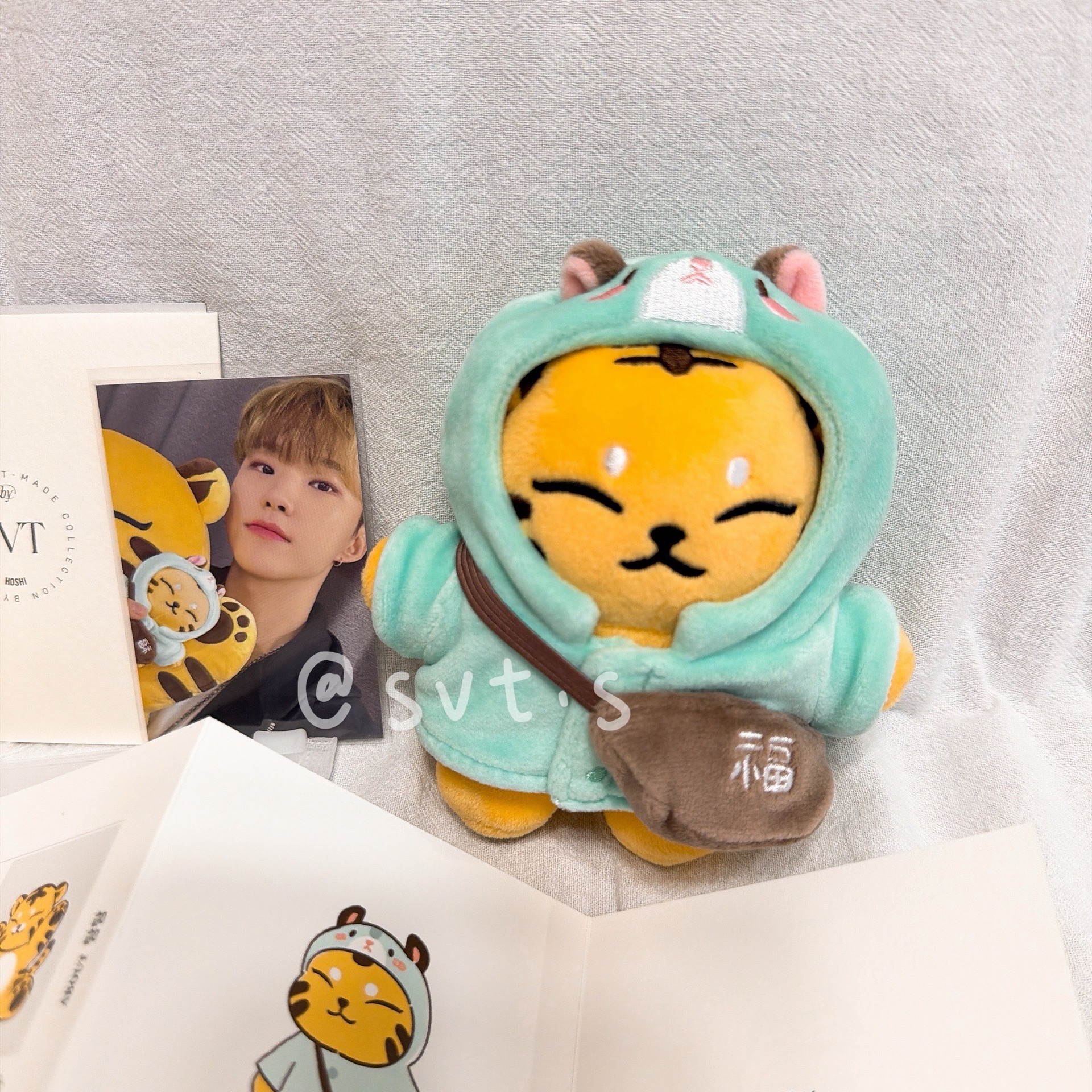 全新 seventeen 成員自製周邊 小眈眈 TAMTAM 權順榮 hoshi 