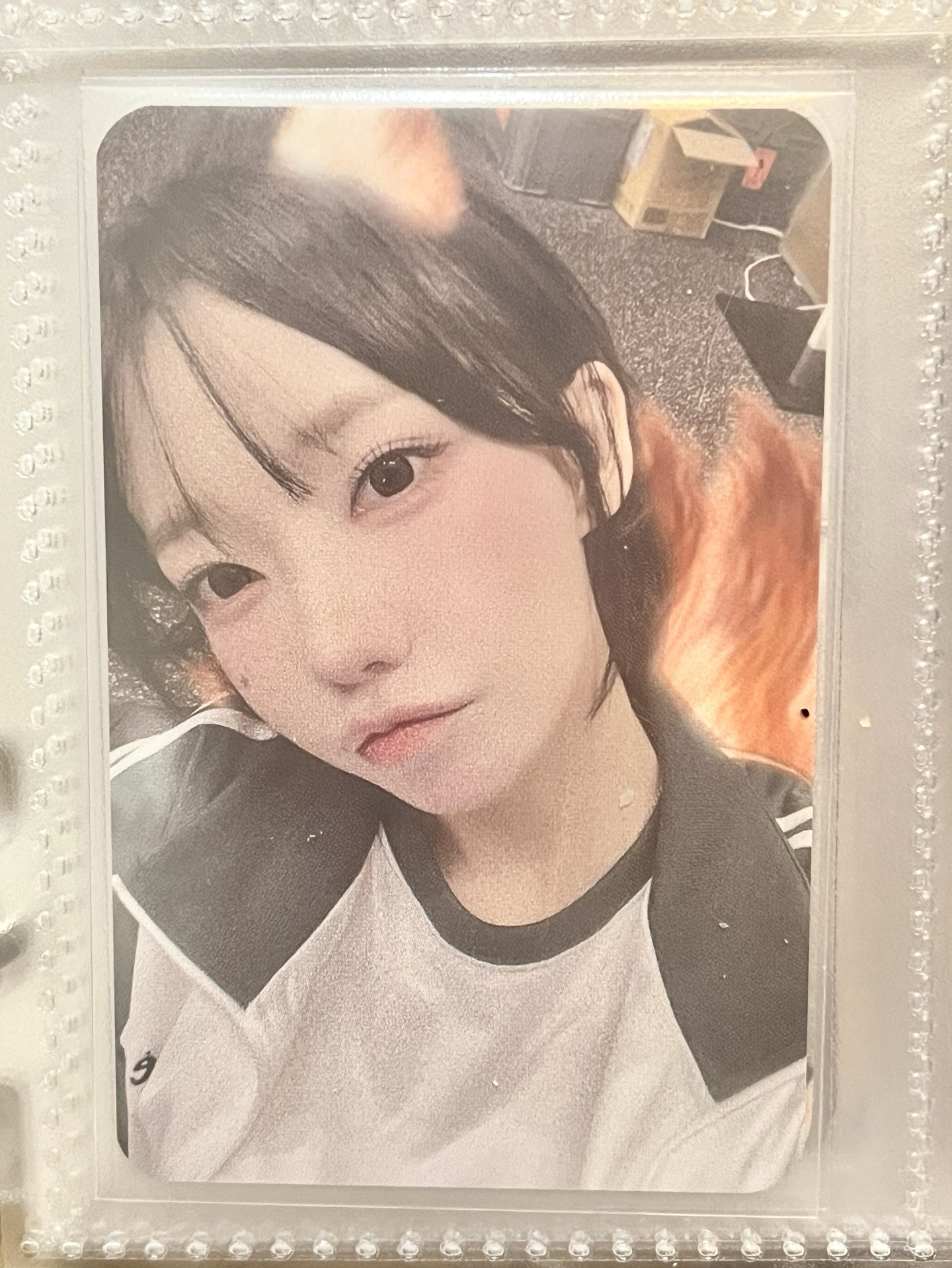 QWER KPS動物特效中簽