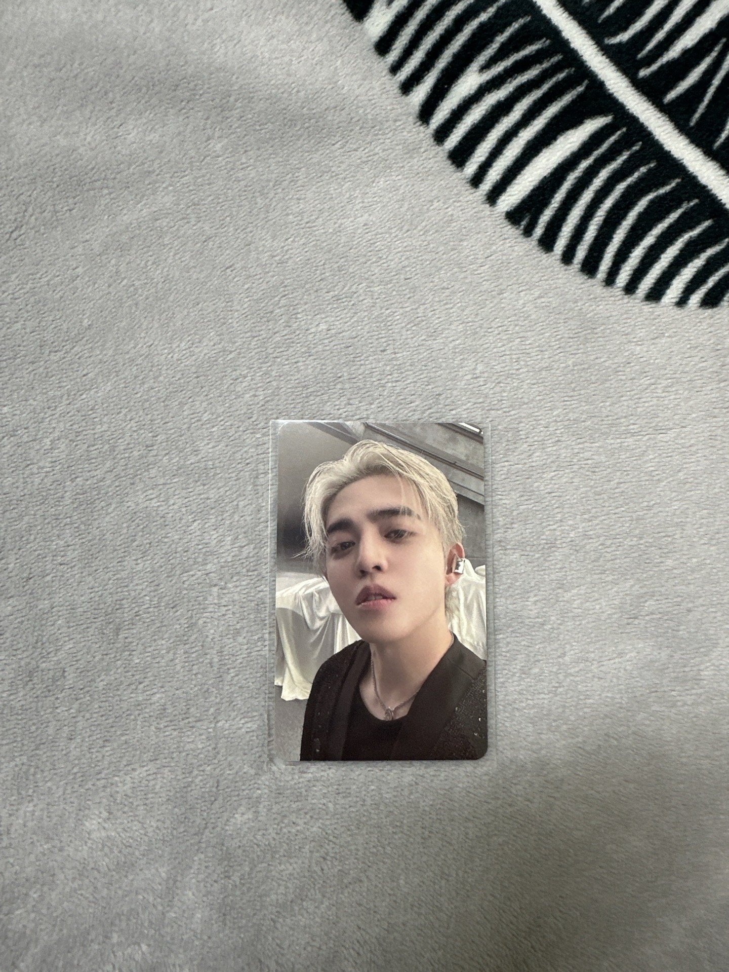 正五 br LD2.0 哲（保留中請勿下單