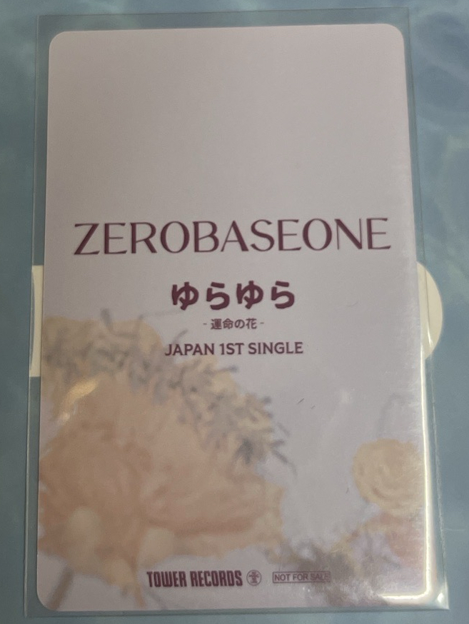 小倉鼠在花花的世界🌼