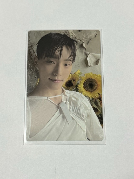 DINO 九期會員禮小卡