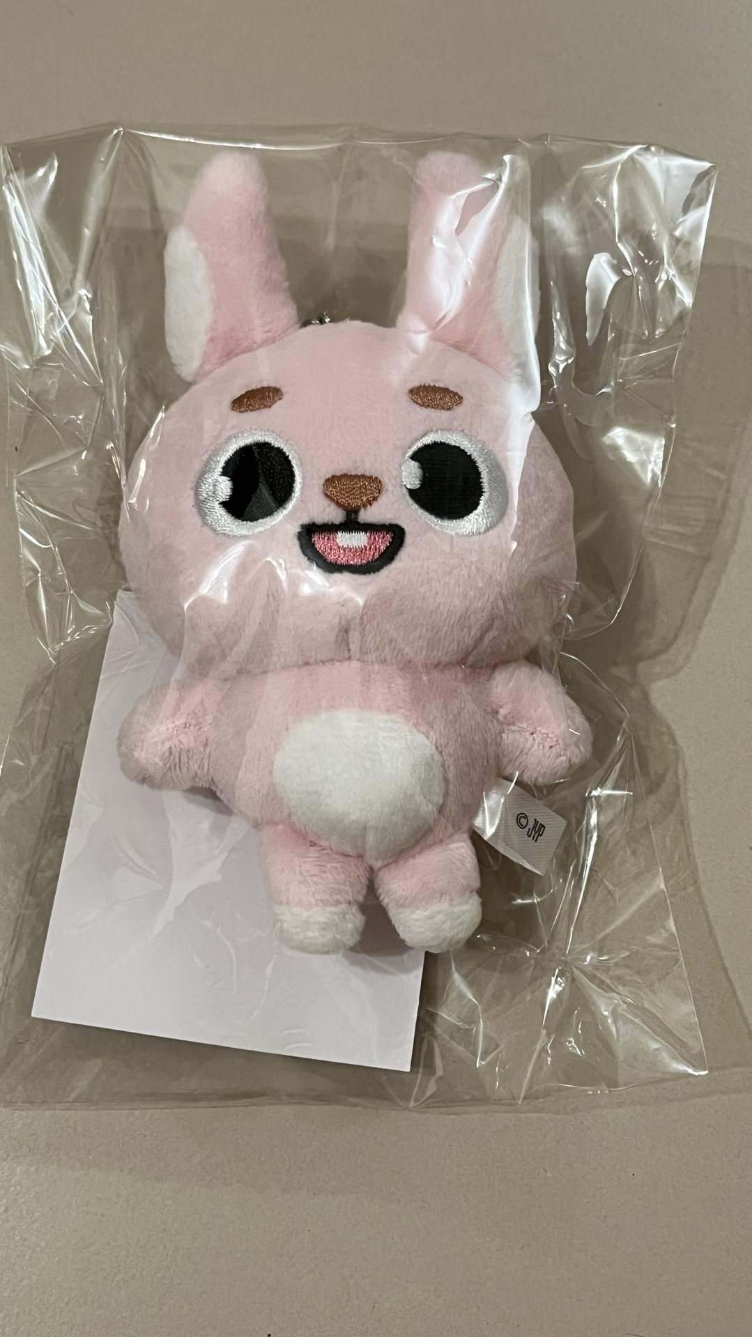 DAY6 PIL 日周鏈條娃