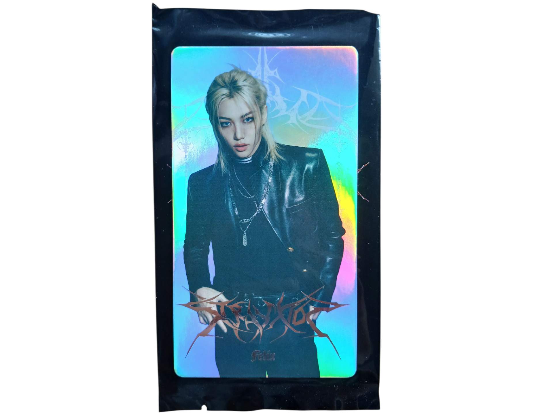 Stray kids domin ATE 首爾世巡🇰🇷隨機大卡卡包