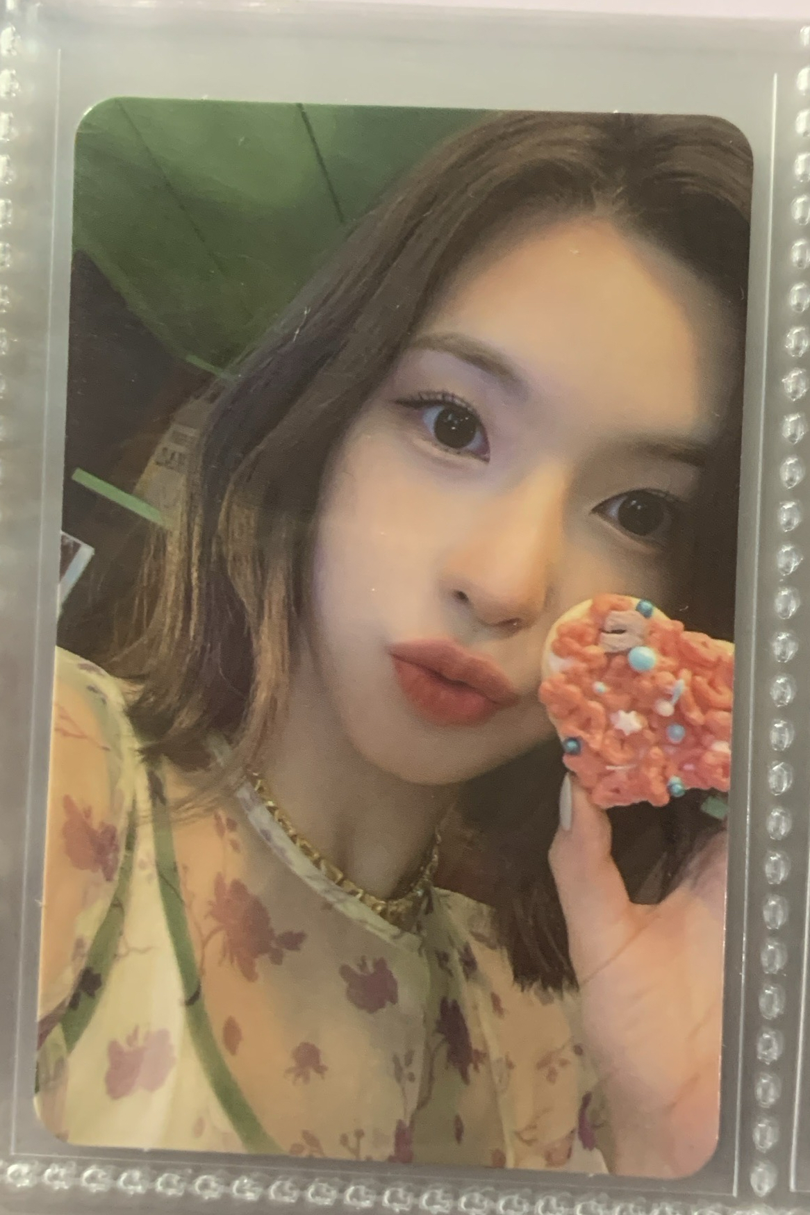 可愛裴真率 O.O專卡 Bae