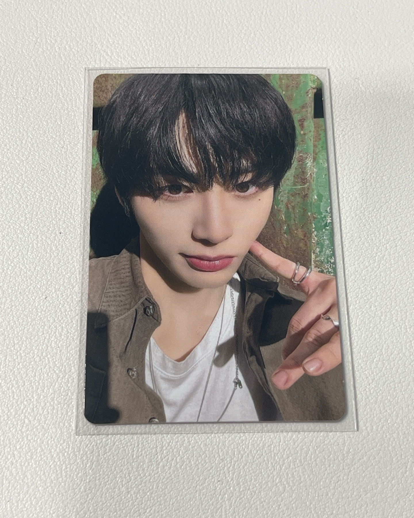 泰山《19.99》專輯卡