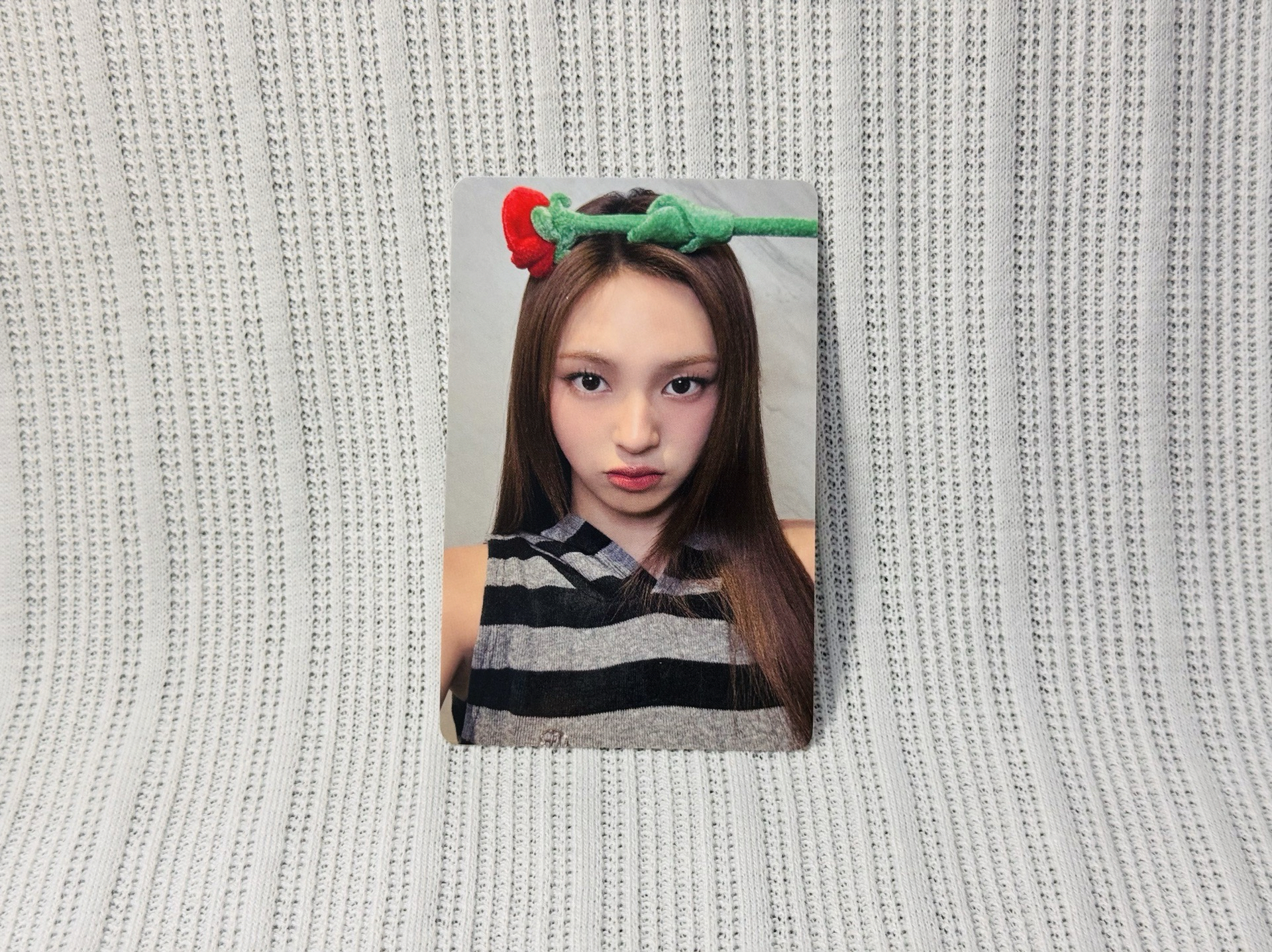 玫瑰日幸運卡 Chiquita