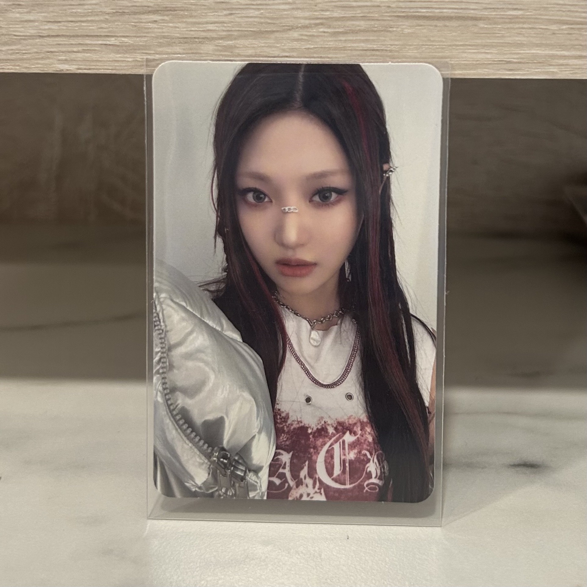 我的世界 intro專卡寧