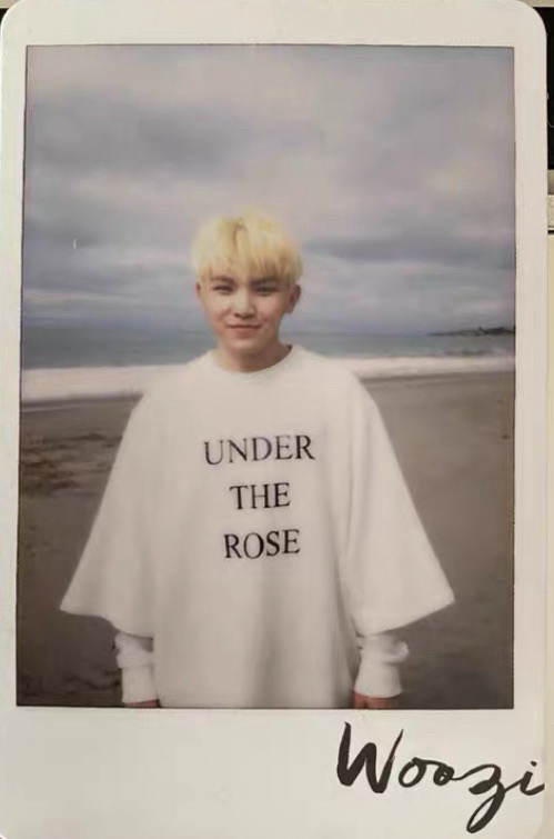 🍚勳 mini4 拍立得專卡