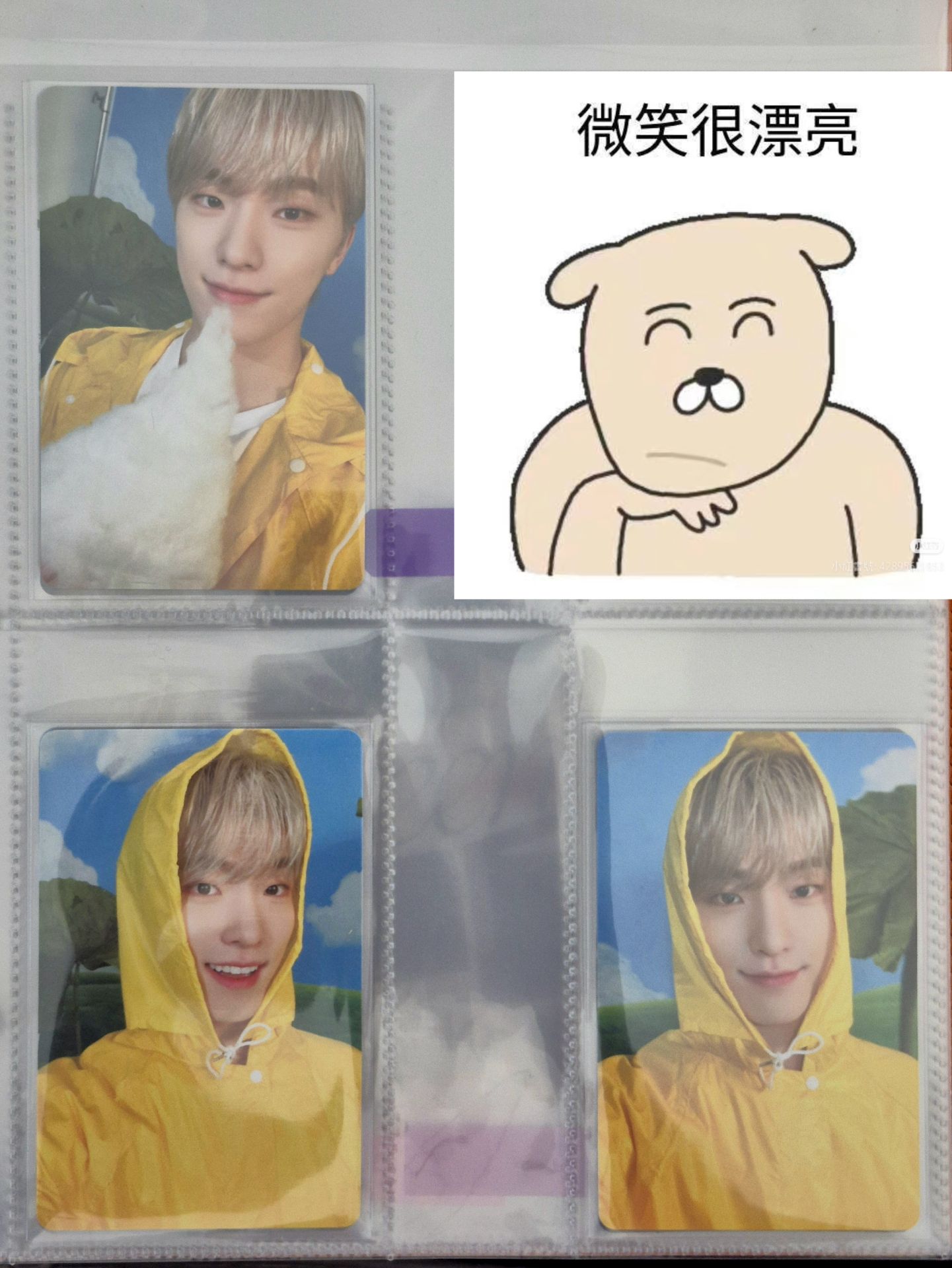 Dino李燦 | 雨衣小獺☂️