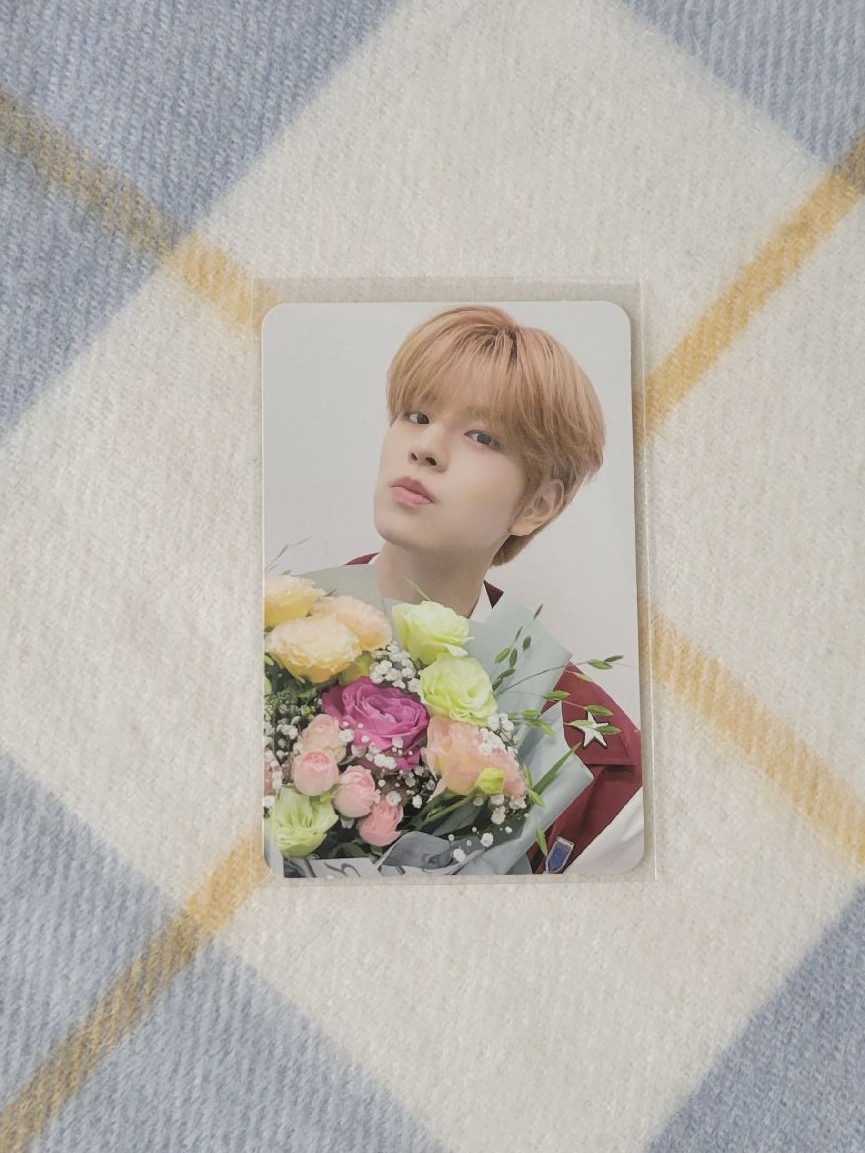 SW LD 4.0 捧花玟(小盤)