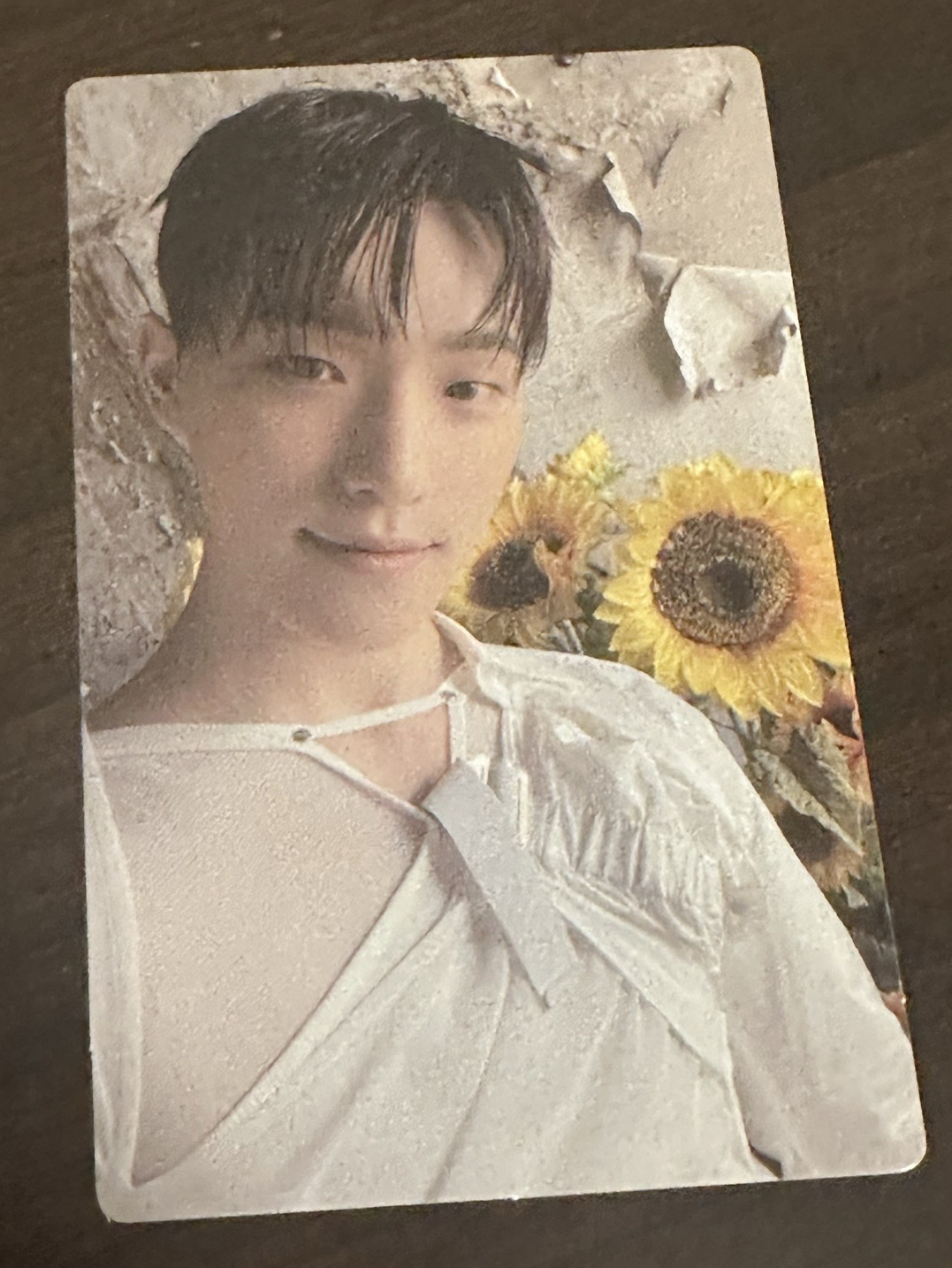 SEVENTEEN 李燦DINO 9期會員禮小卡