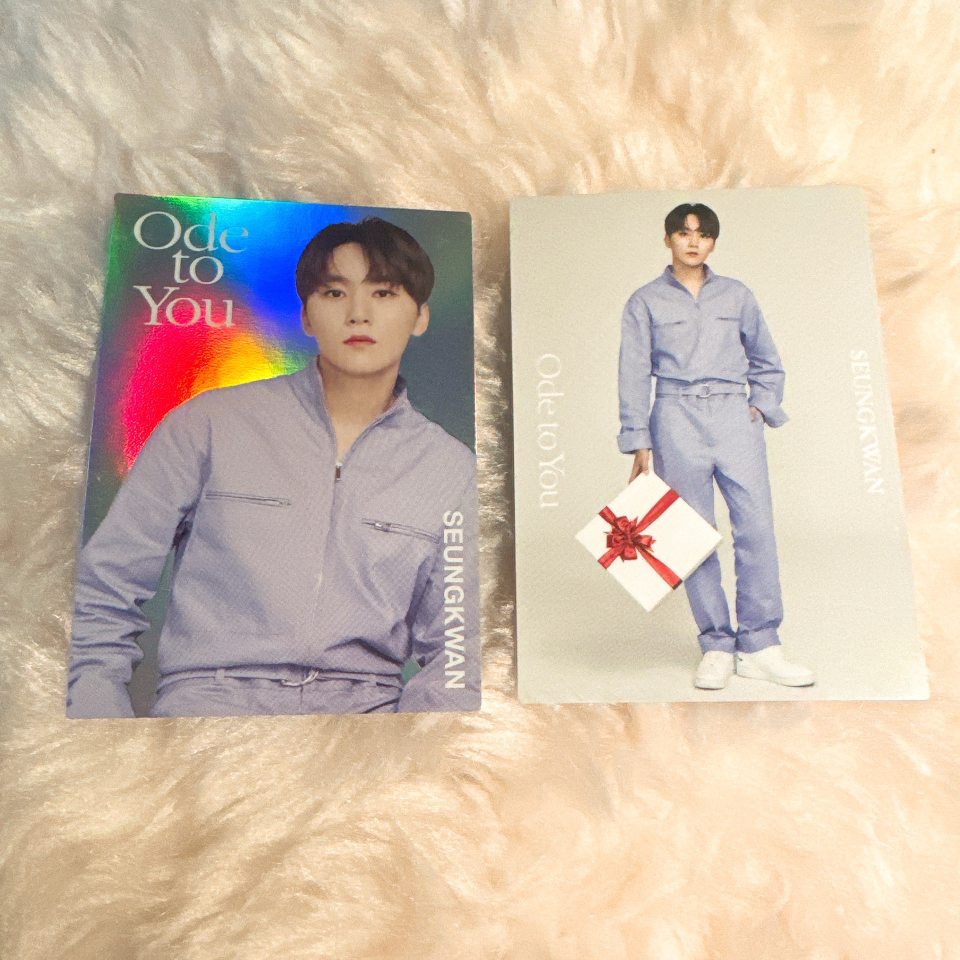 Seventeen ode to you 日卡 勝寛