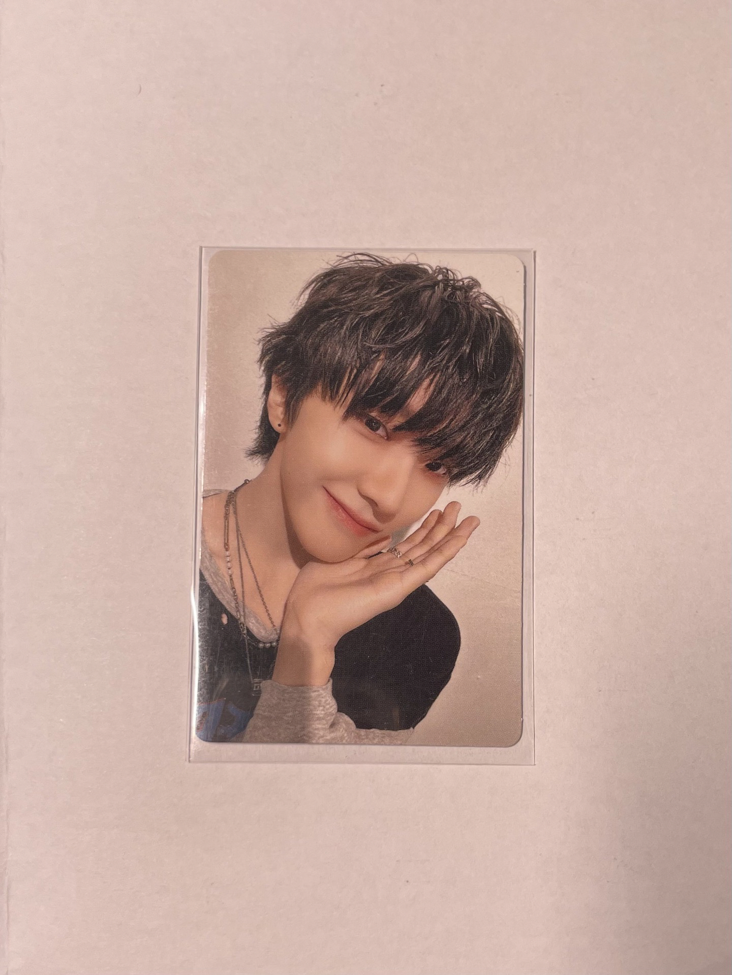 19.99專卡 金雲鶴