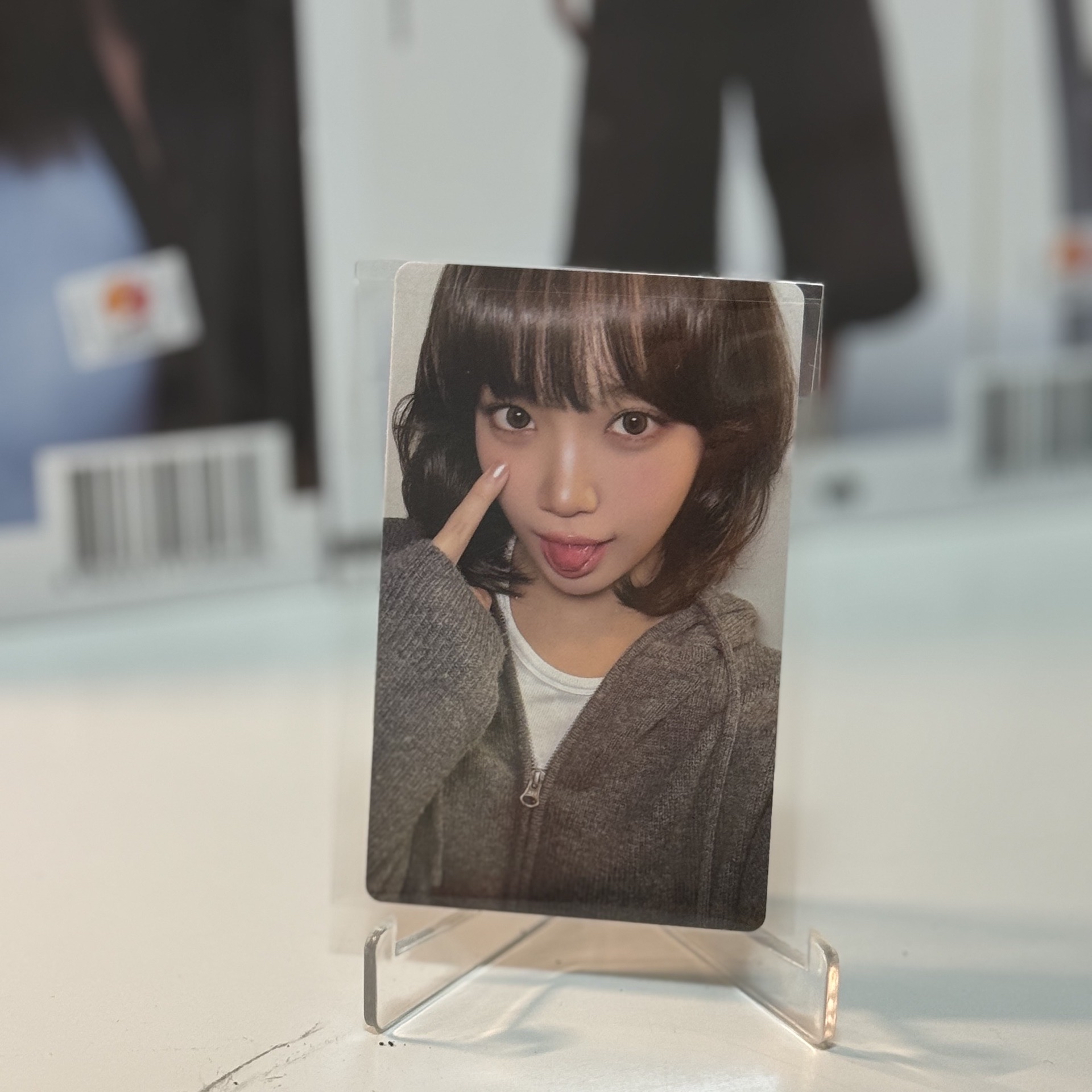 🌟現貨🌟WVS簽售 采