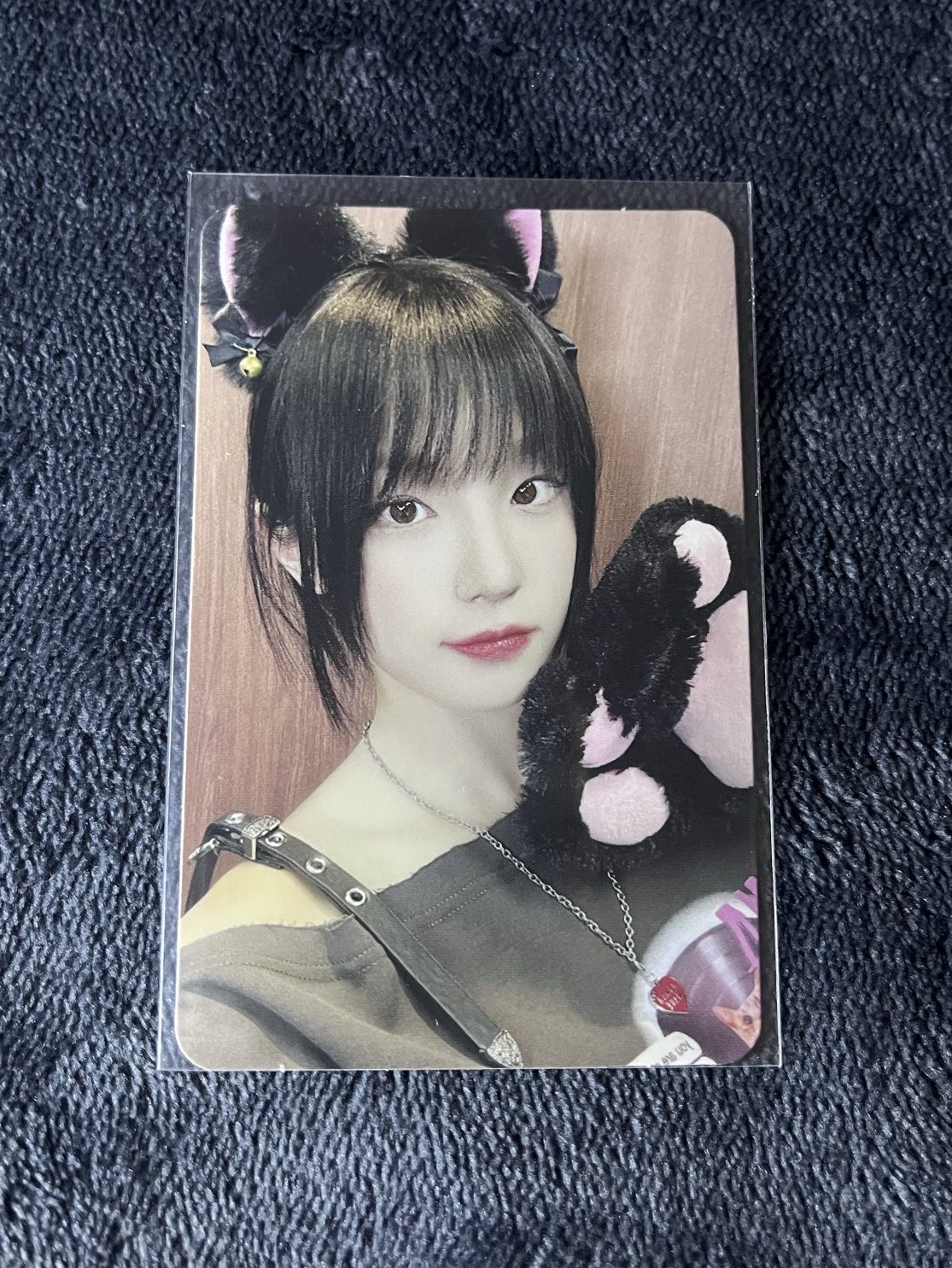 ❤️正二 ms貓爪琦