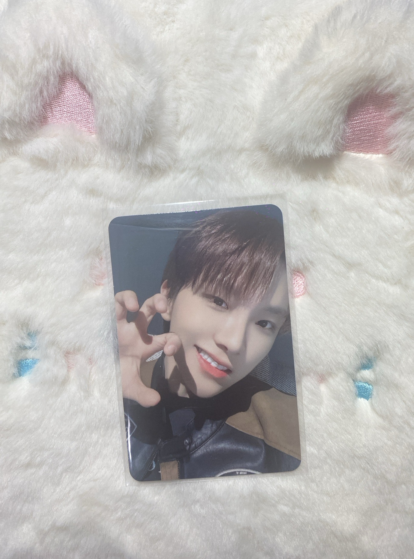 金雲鶴muvve特典卡